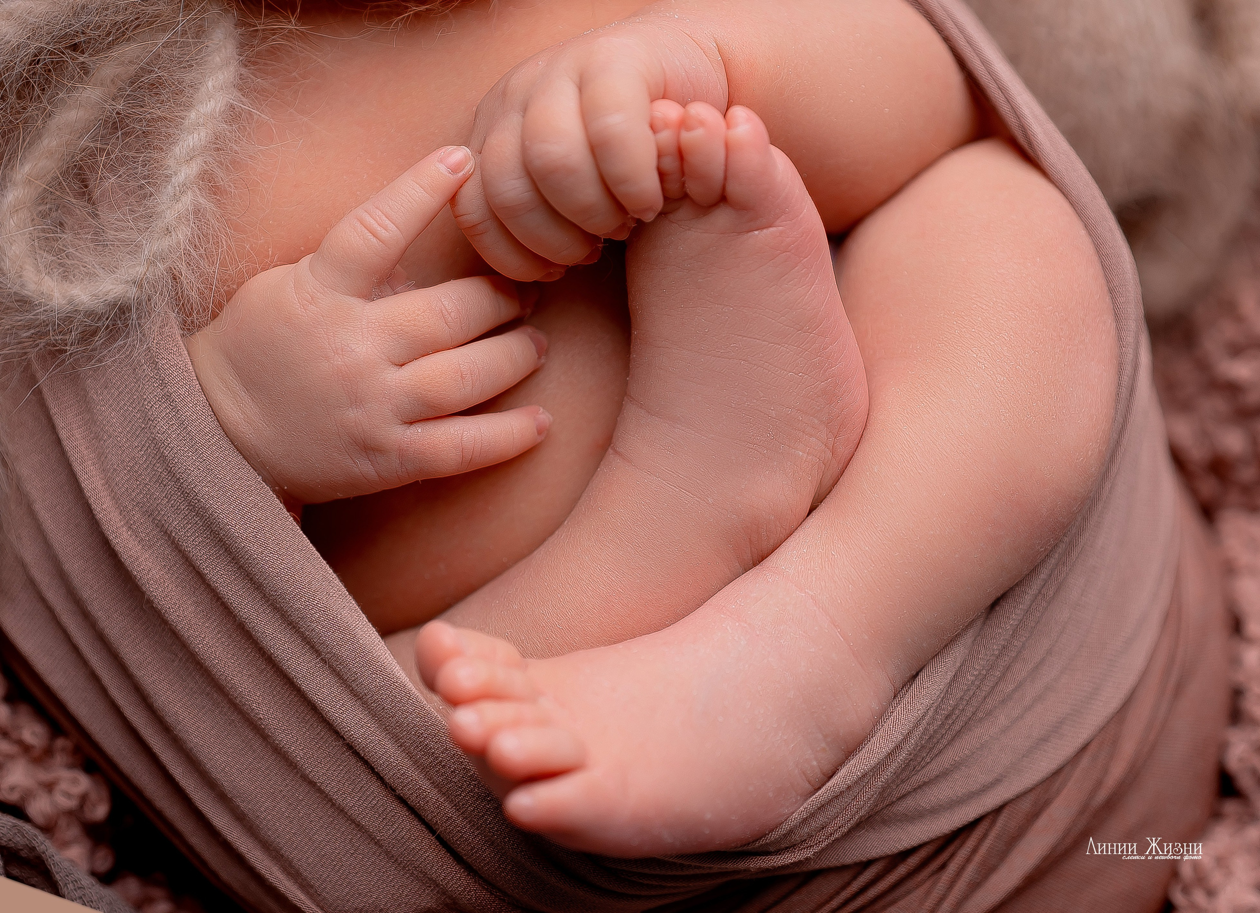 Елисей 17 дней. Фотограф новорожденных в Нижнем Новгороде Сергеева Оксана