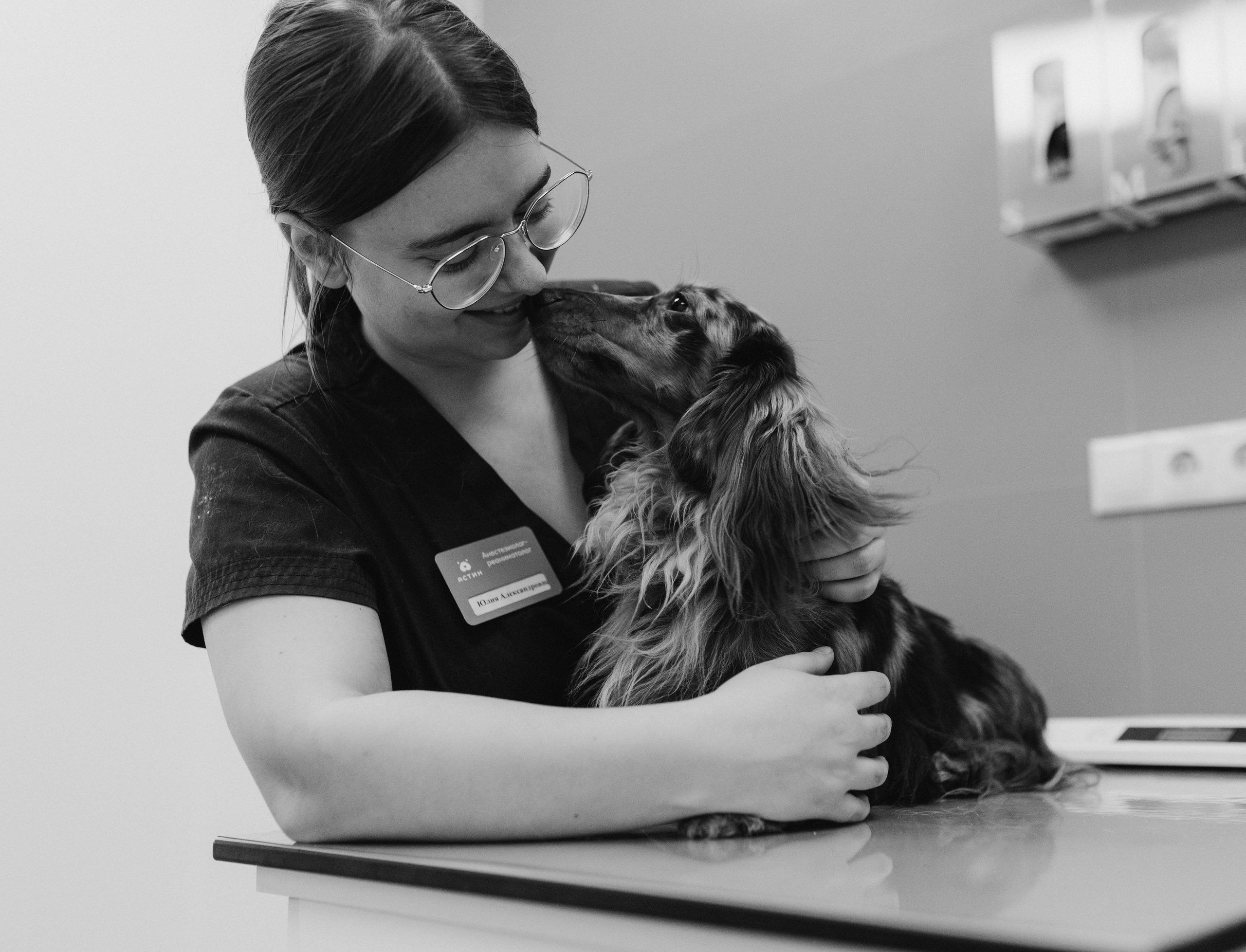 VetLife. Татьяна Афонина | Фотограф