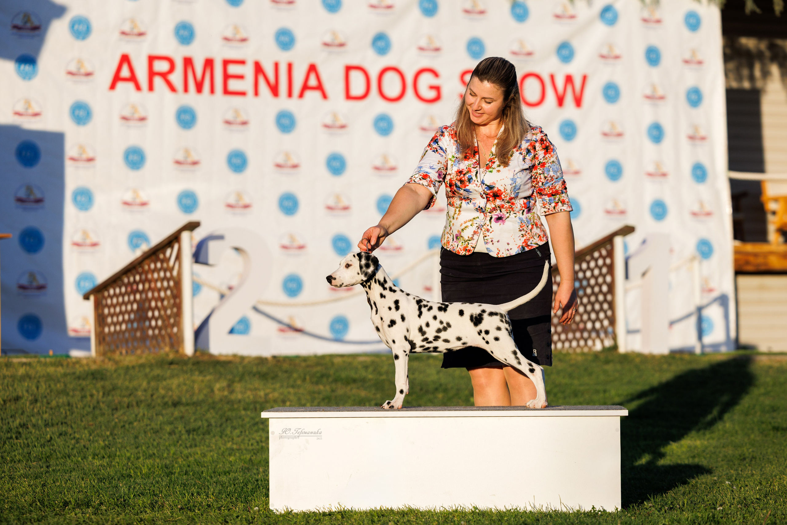 Ереван 14-16.10.2025. Фотограф-анималист Юлия Германика