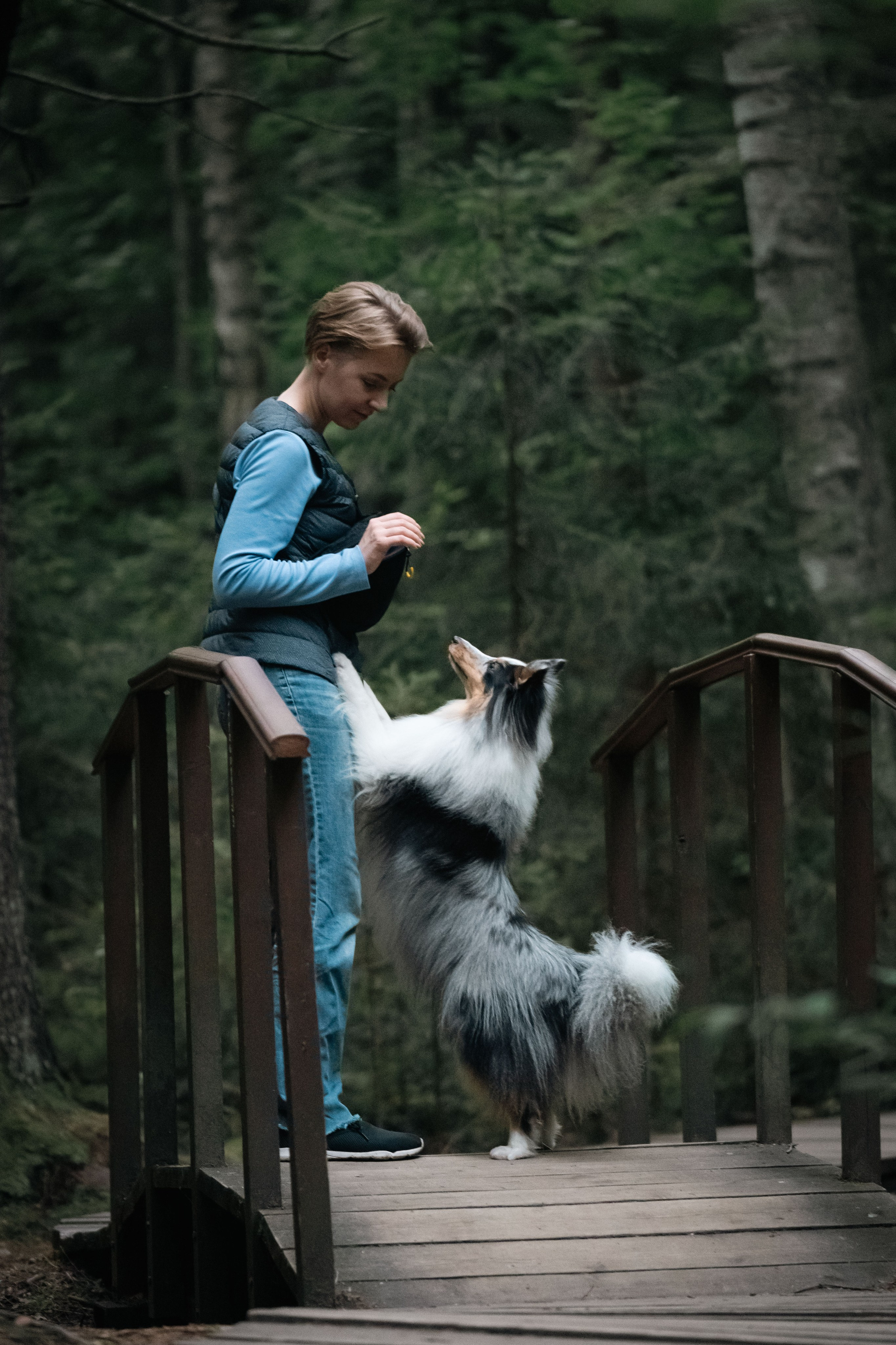 Лесная Элис. Фотограф анималист