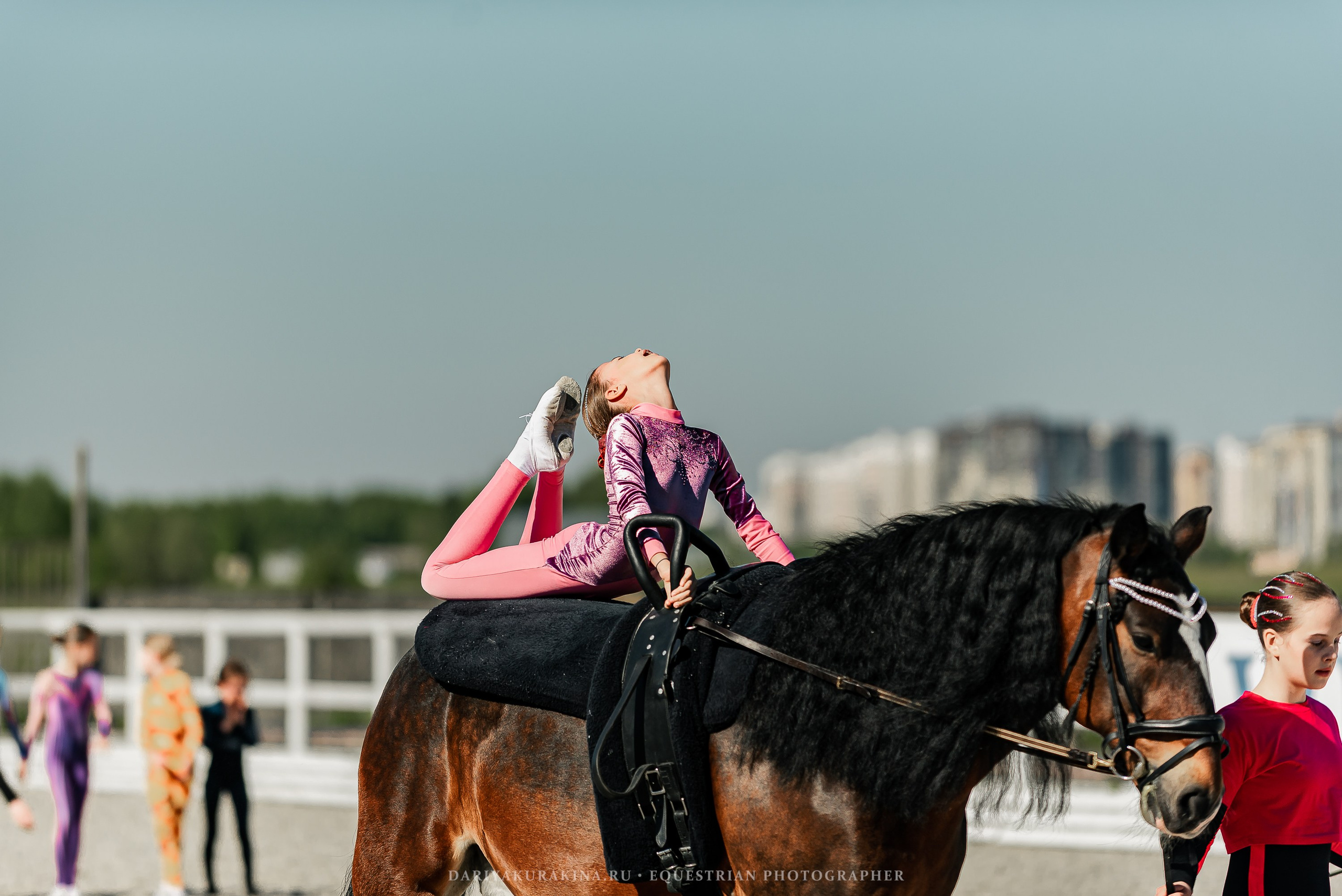РЕПОРТАЖ МКК ВОЛЬТ «LA TULIPS». Конный фотограф Куракина Дарья • Фотосессии с лошадьми