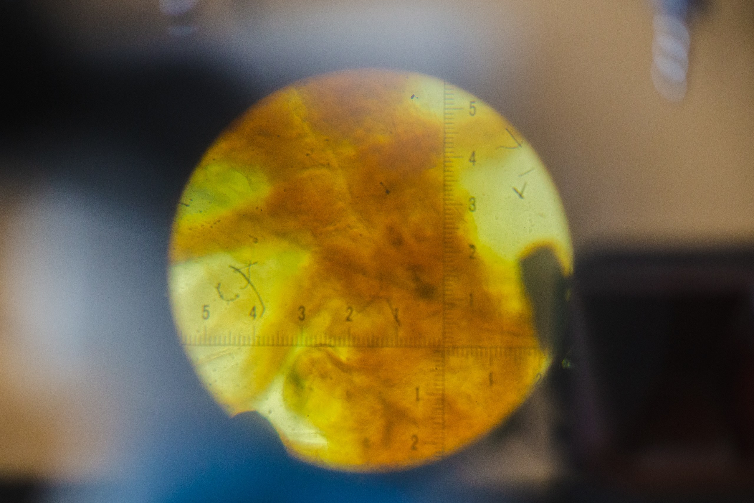 Репортаж Наука. Фотограф в Ярославле Ольга Пыненкова