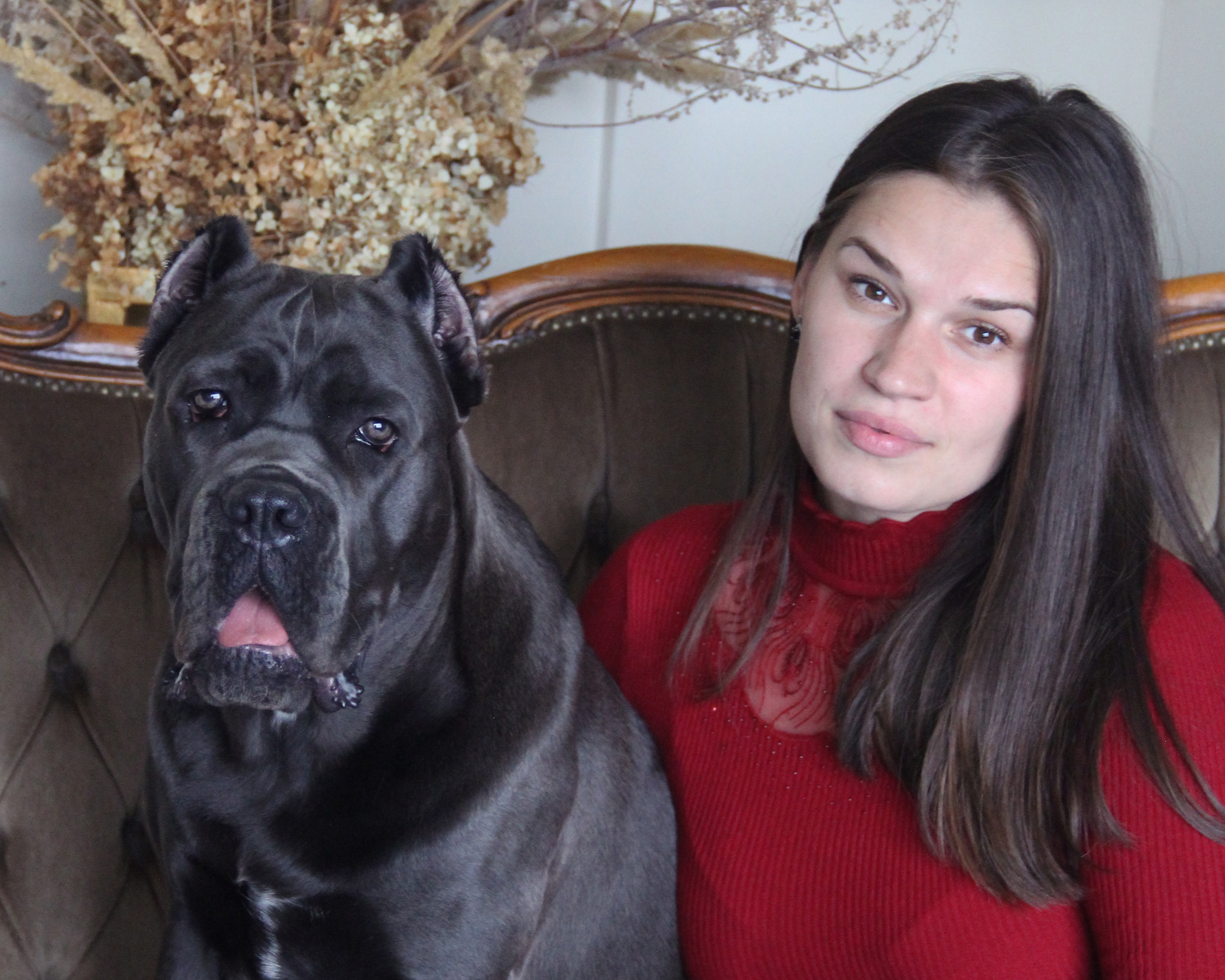 Великолепная Харли и её хозяева. Фотограф Алёна Толмачева. Воронеж