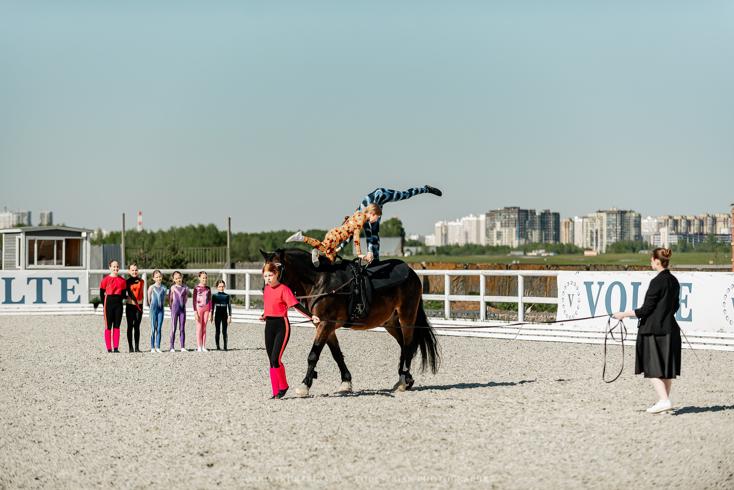 РЕПОРТАЖ МКК ВОЛЬТ «LA TULIPS». Конный фотограф Куракина Дарья • Фотосессии с лошадьми
