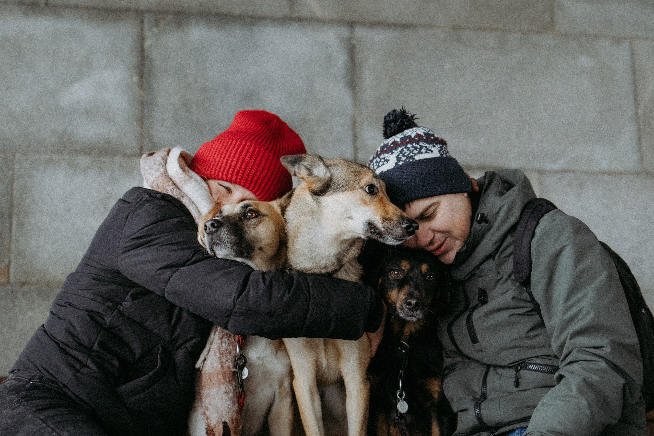 Саша, Ксюша и их банда. Фотораф — анималист Мария Шистка