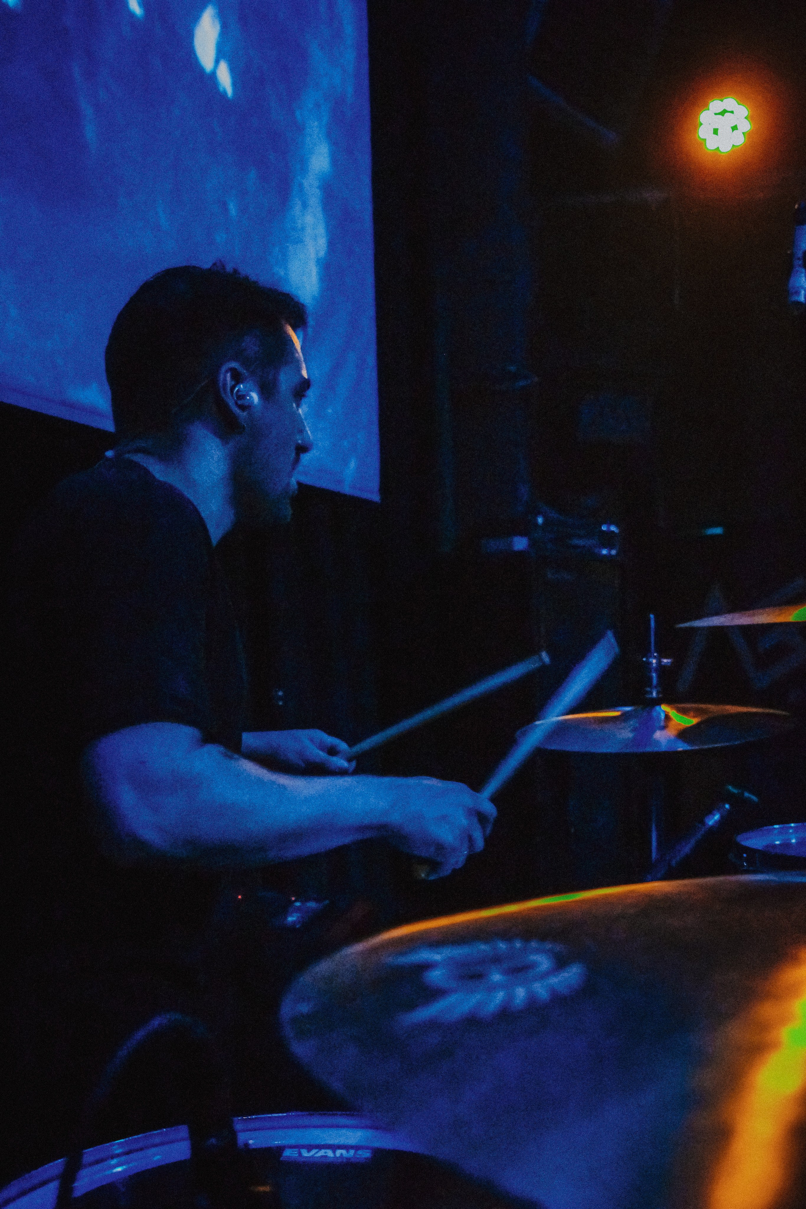 ПЛАВИЦА | ЛАСТОЧКА. Фотограф из Петербурга Софи Веритас Концерты и портреты