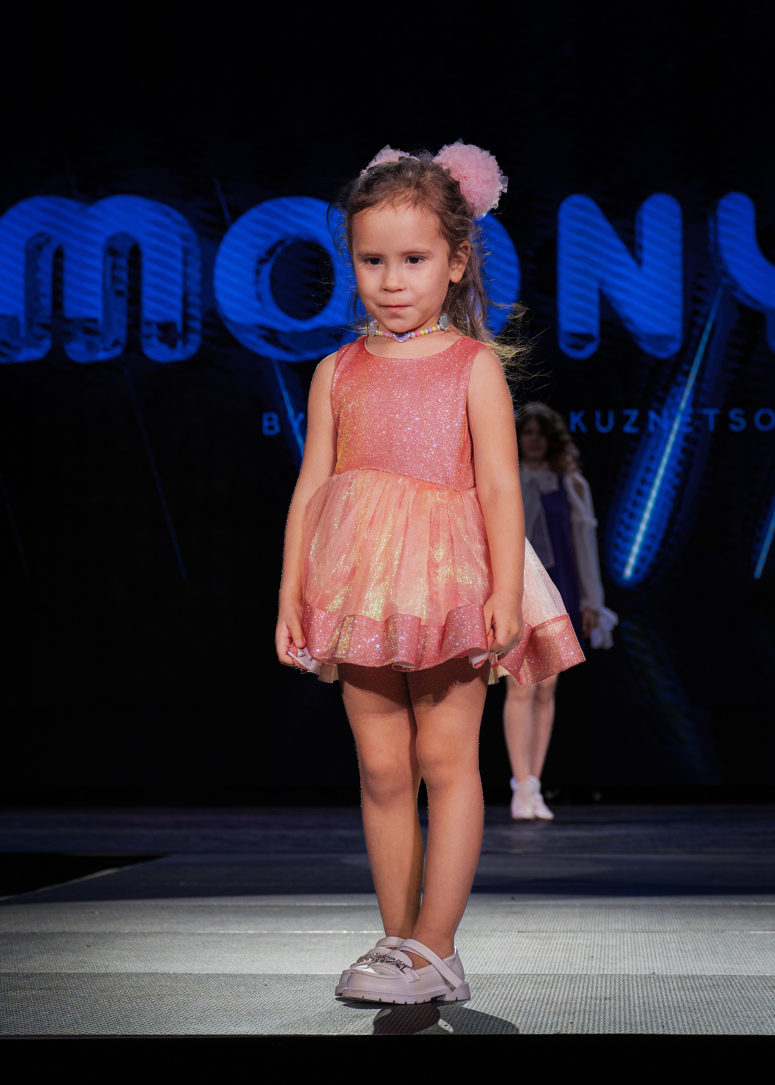 Премия "Сибирский стиль 2024"