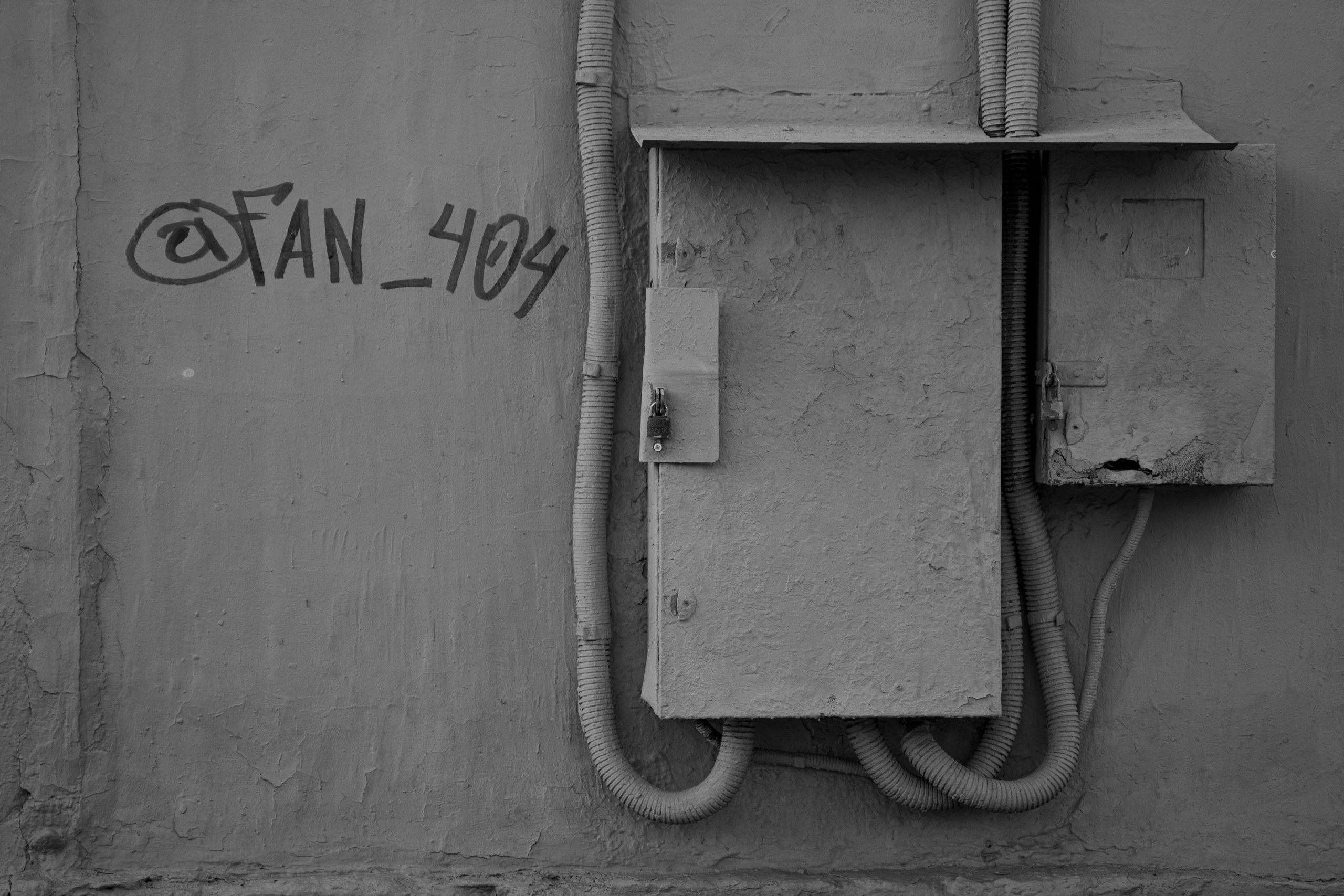 Разное неважное. Фотограф в Москве Алейникова Евгения