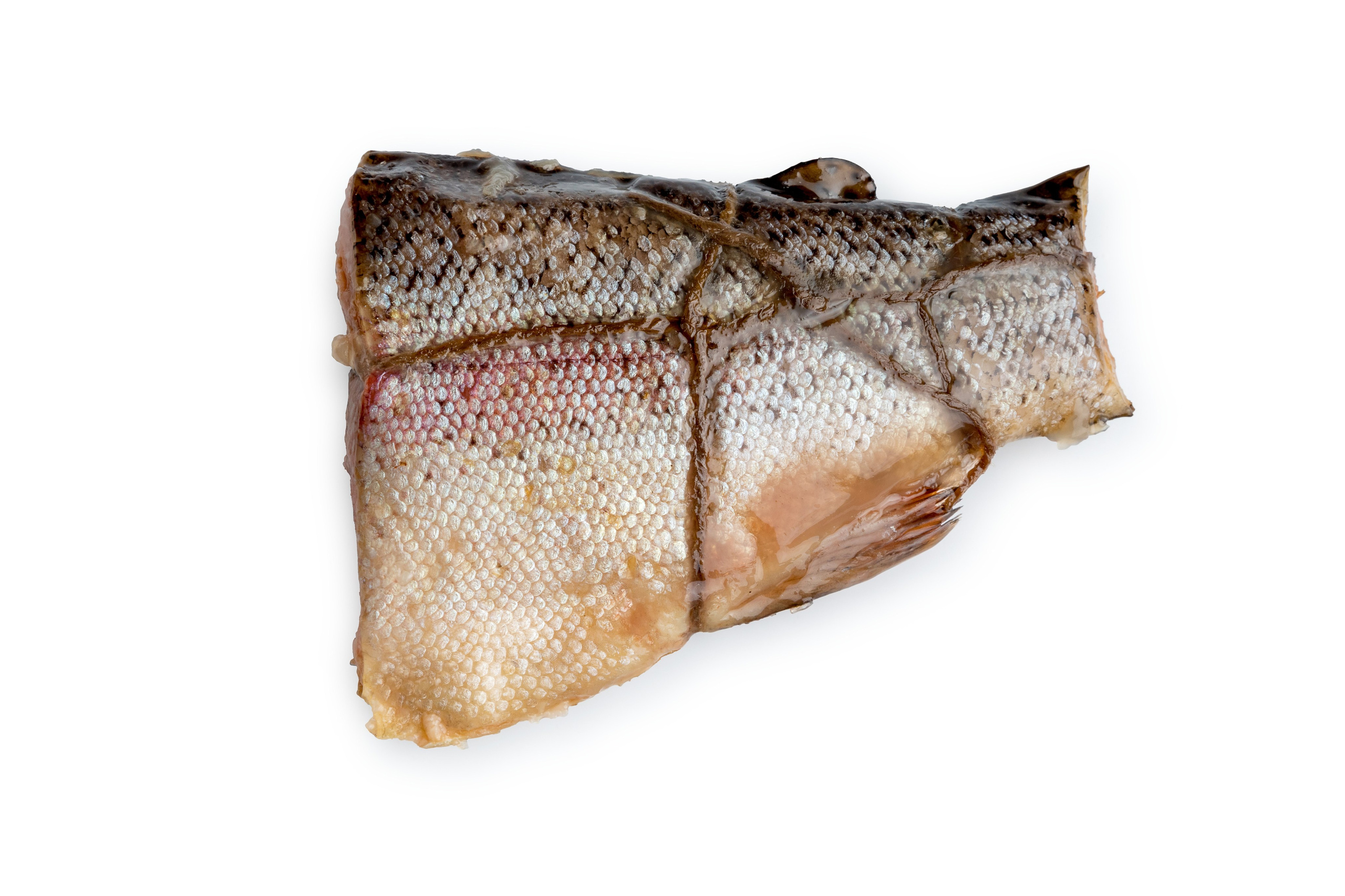 Сырое на белом. Фуд-фотограф Гумеров Ильдар