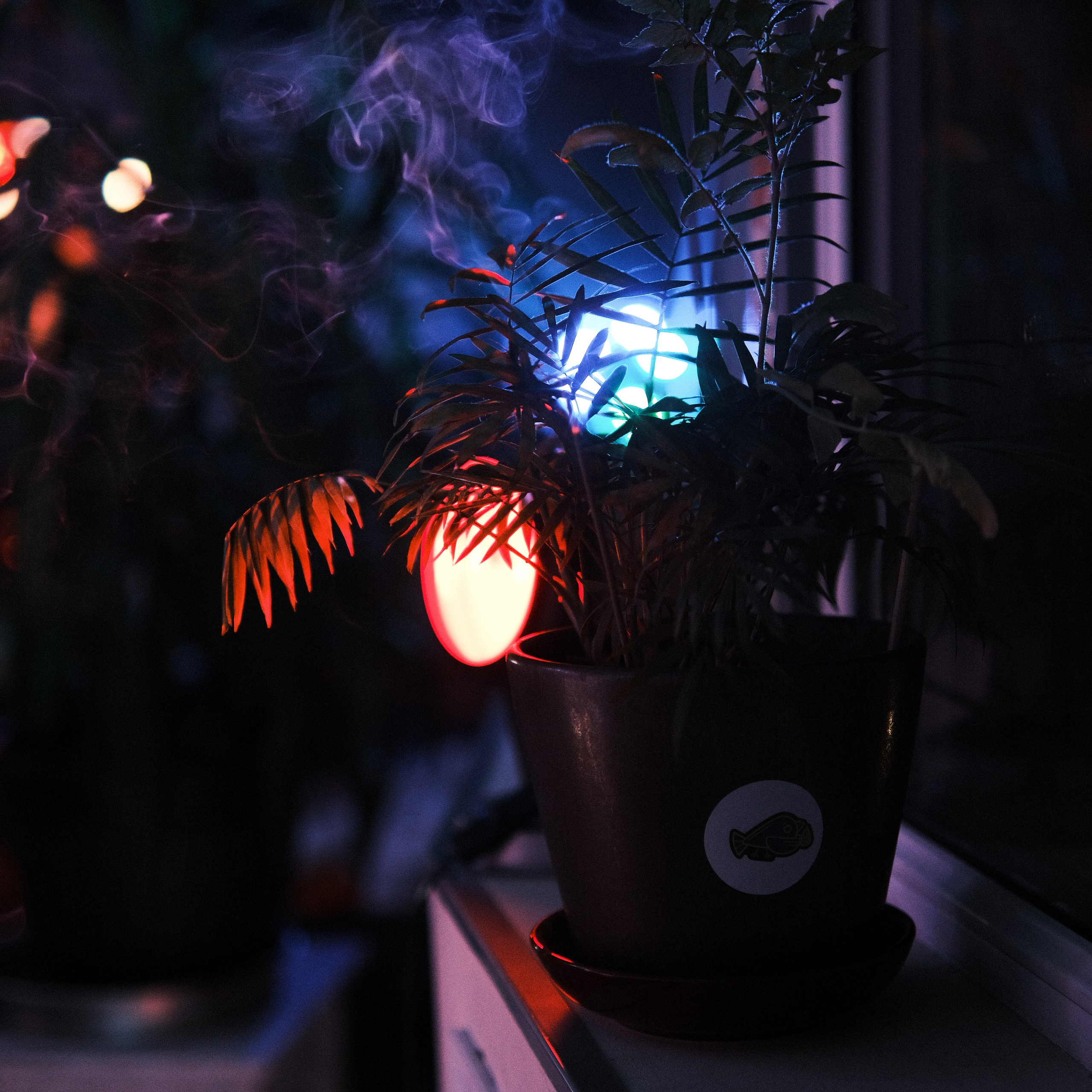 Вечеринка Siberian Beaches — Панама|Ялта. Фотограф, видеограф в Санкт-Петербурге