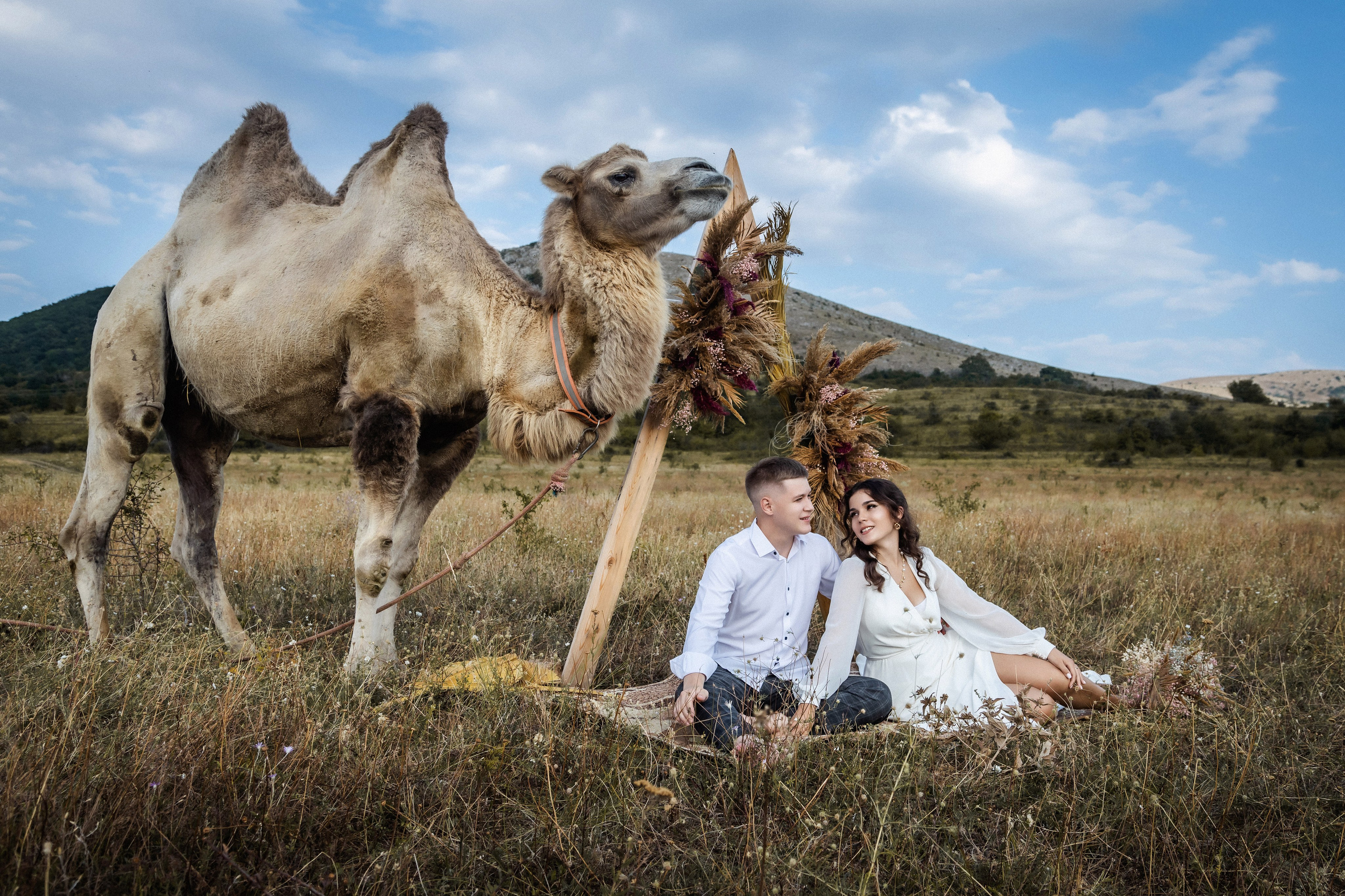 Свадьбы. Фотограф в Москве Нелла Шагеева