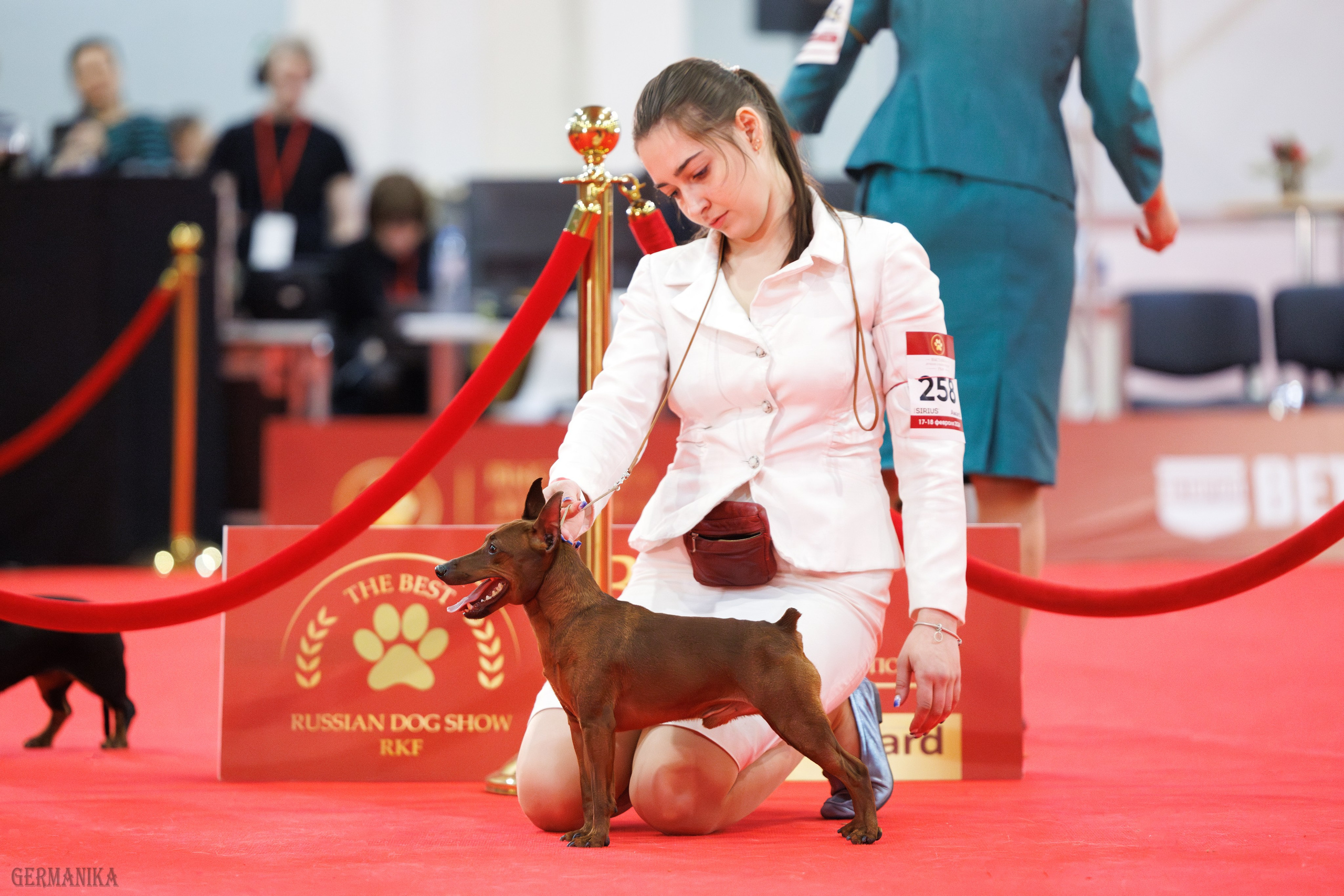 Лучшие Собаки России 17-18.02.2024. Фотограф-анималист Юлия Германика