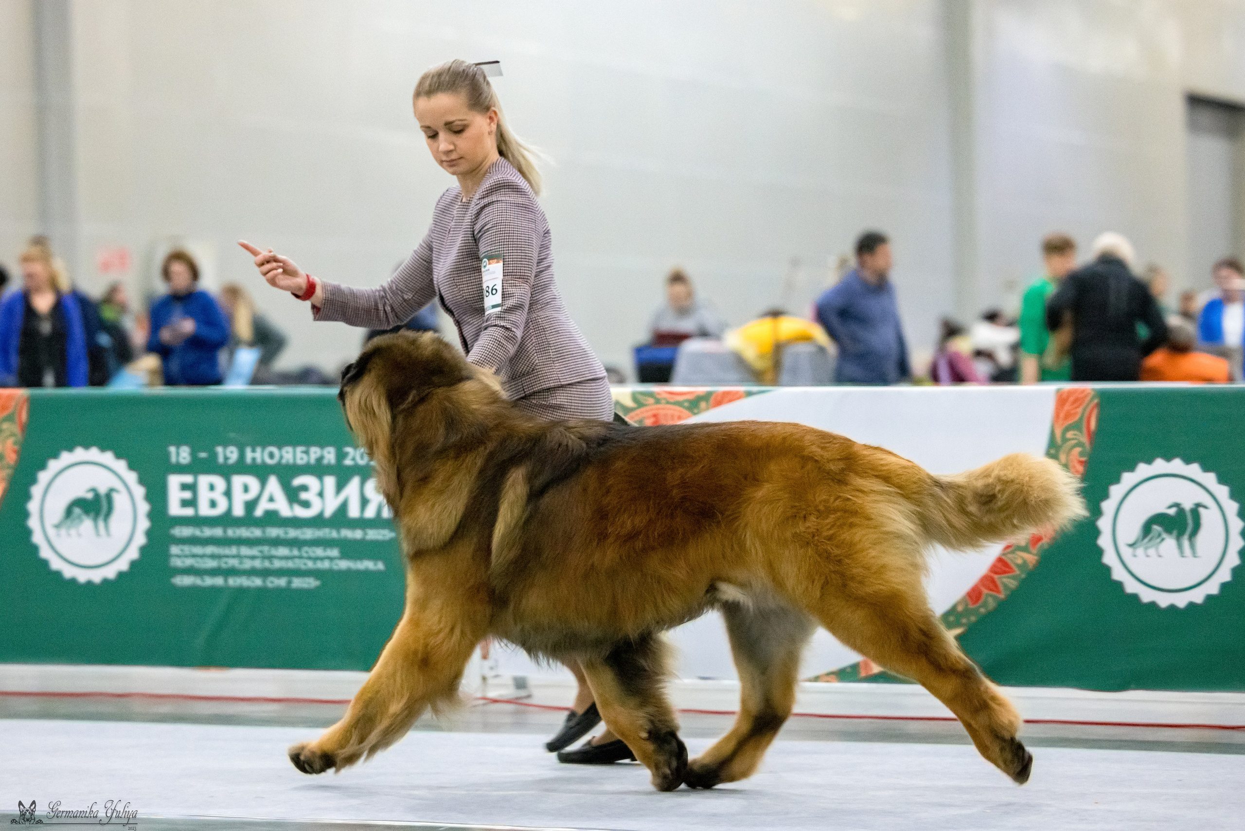 ЕВРАЗИЯ 18-19.11.2023. Фотограф-анималист Юлия Германика