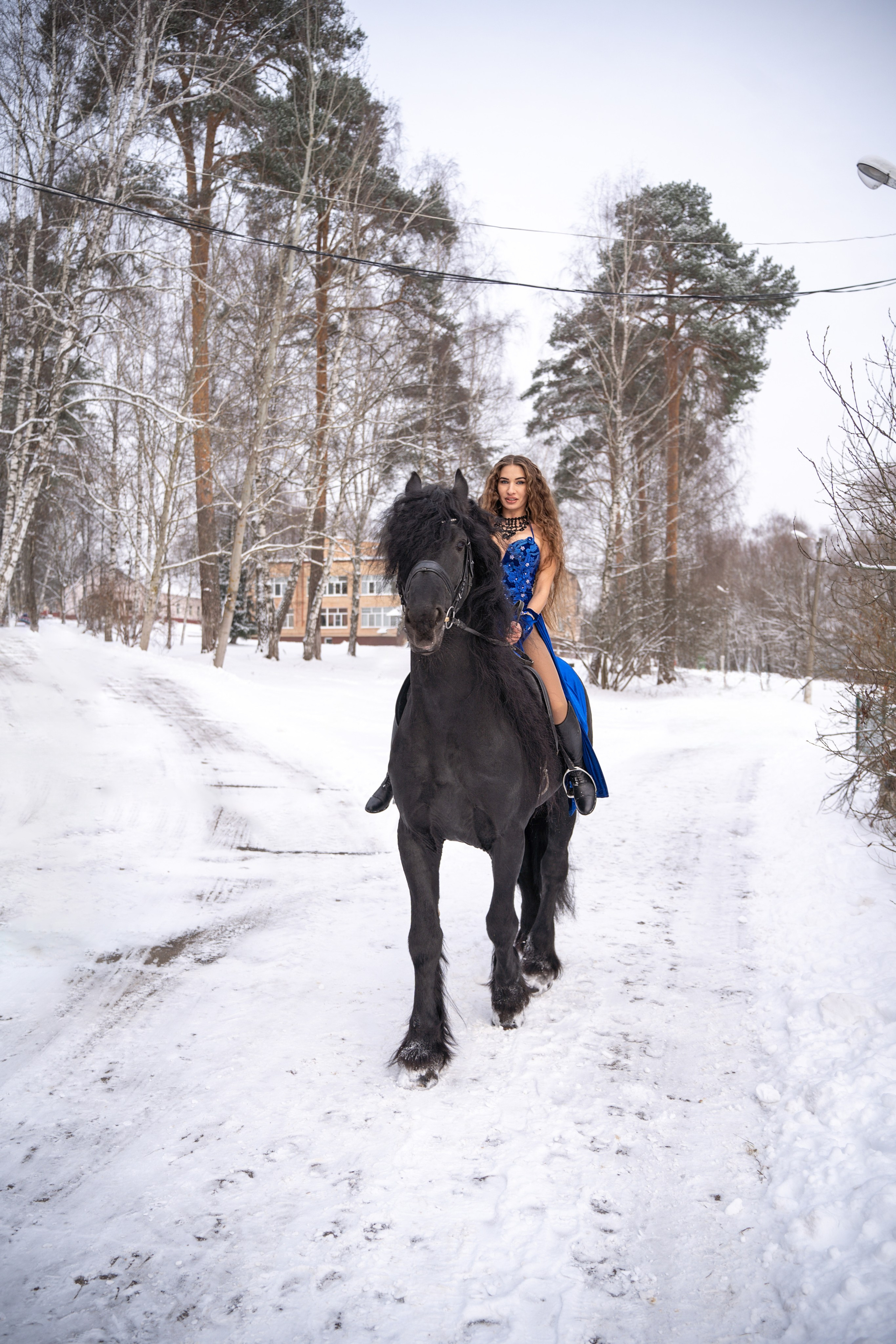 Лошадки зима. Фотограф Зинаида Евдокимова