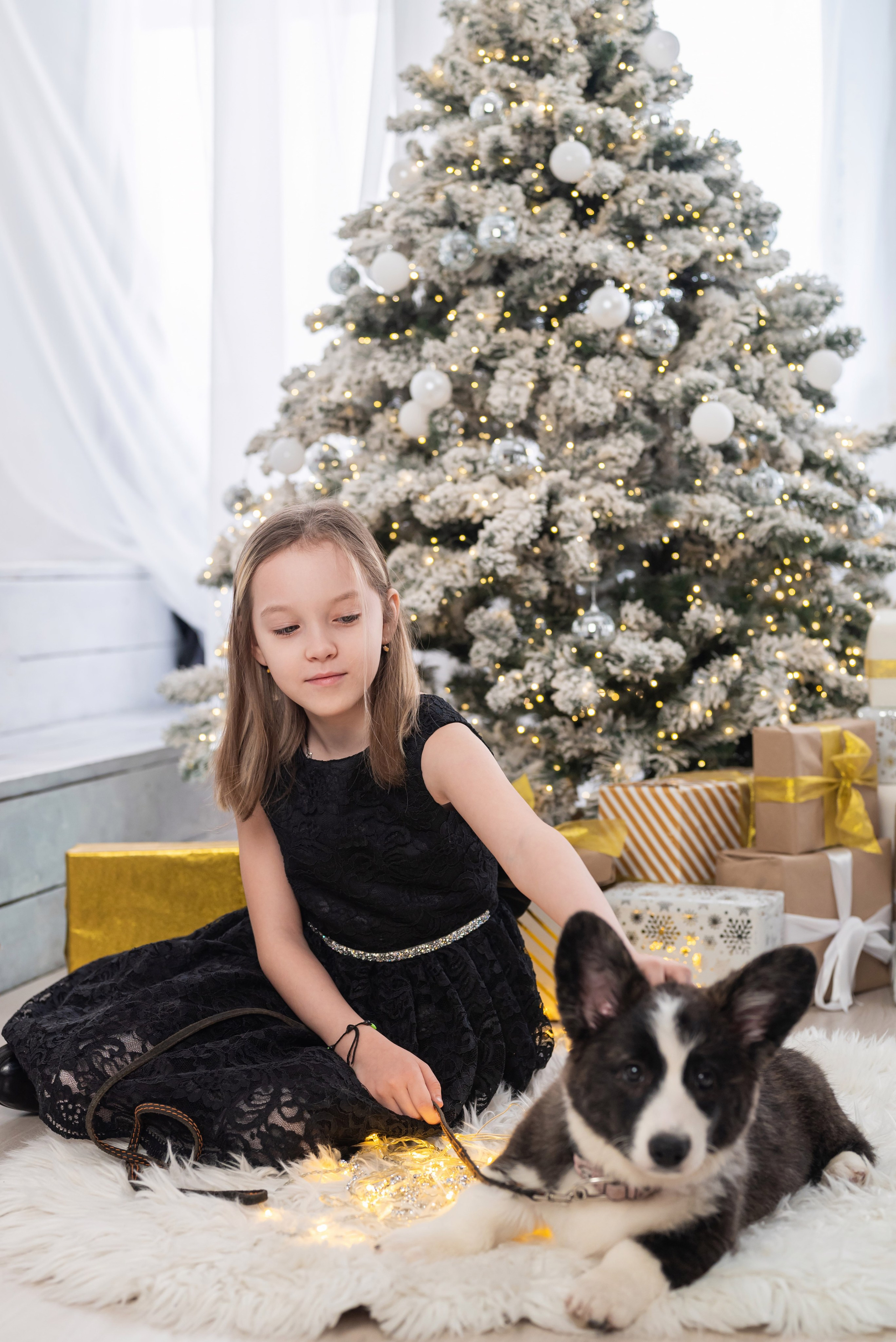 Фотопроект с корги. Фотограф в городе Салават