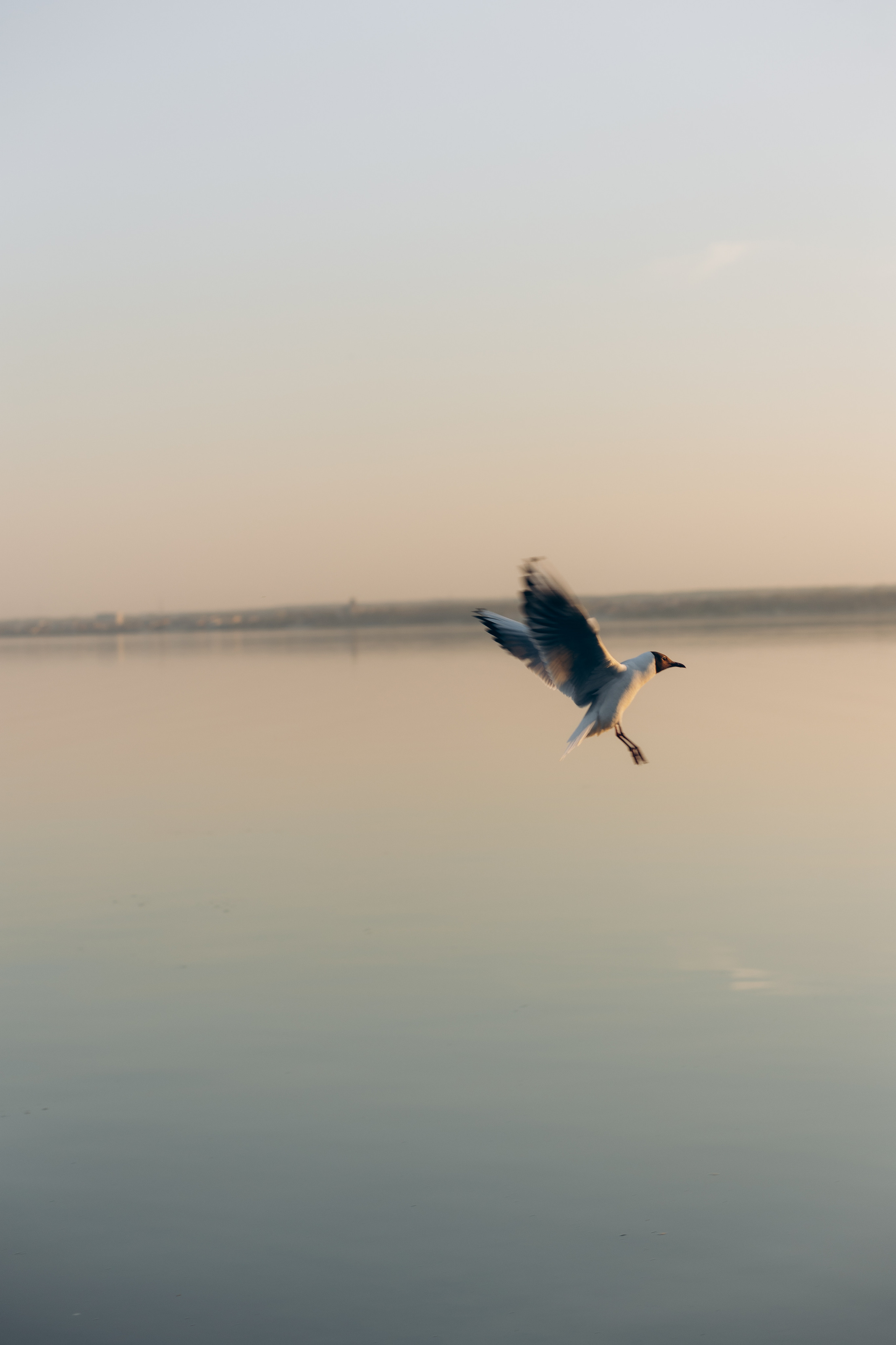 Ах, Даша. Фотограф в Челябинске Снежана Резниченко