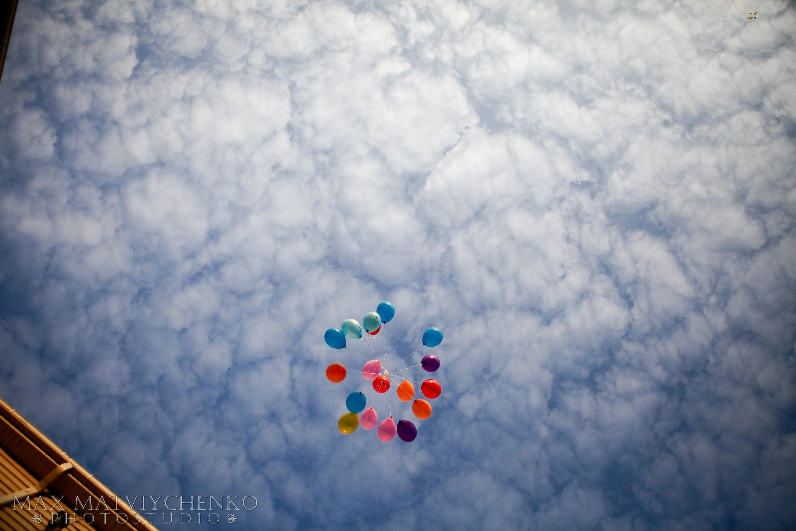 Банкет/Banquet. Максим Матвийченко и Виктория Басова профессионалы своего дела