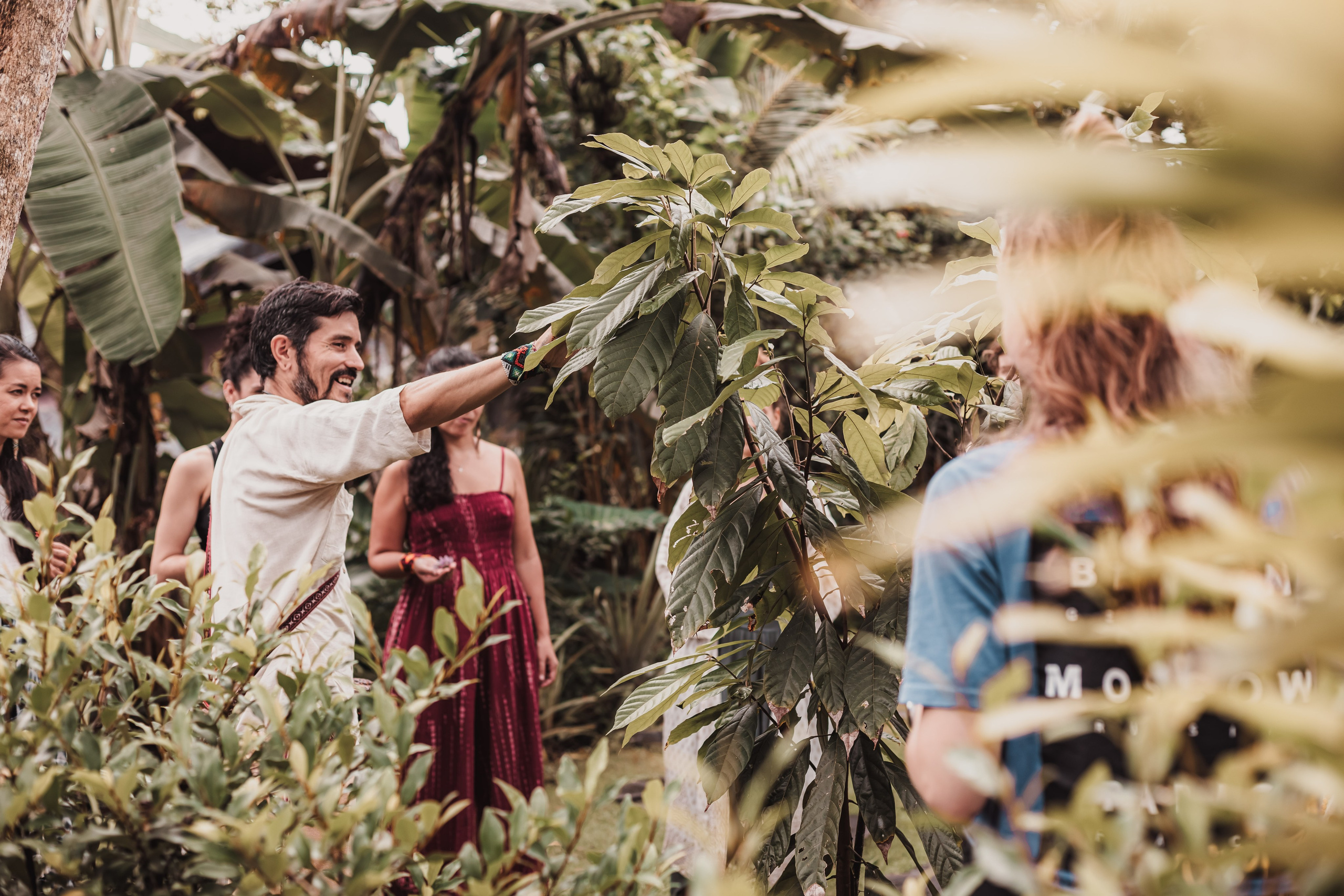 Cacao alchemy w Juan. Мариам Багдасарян