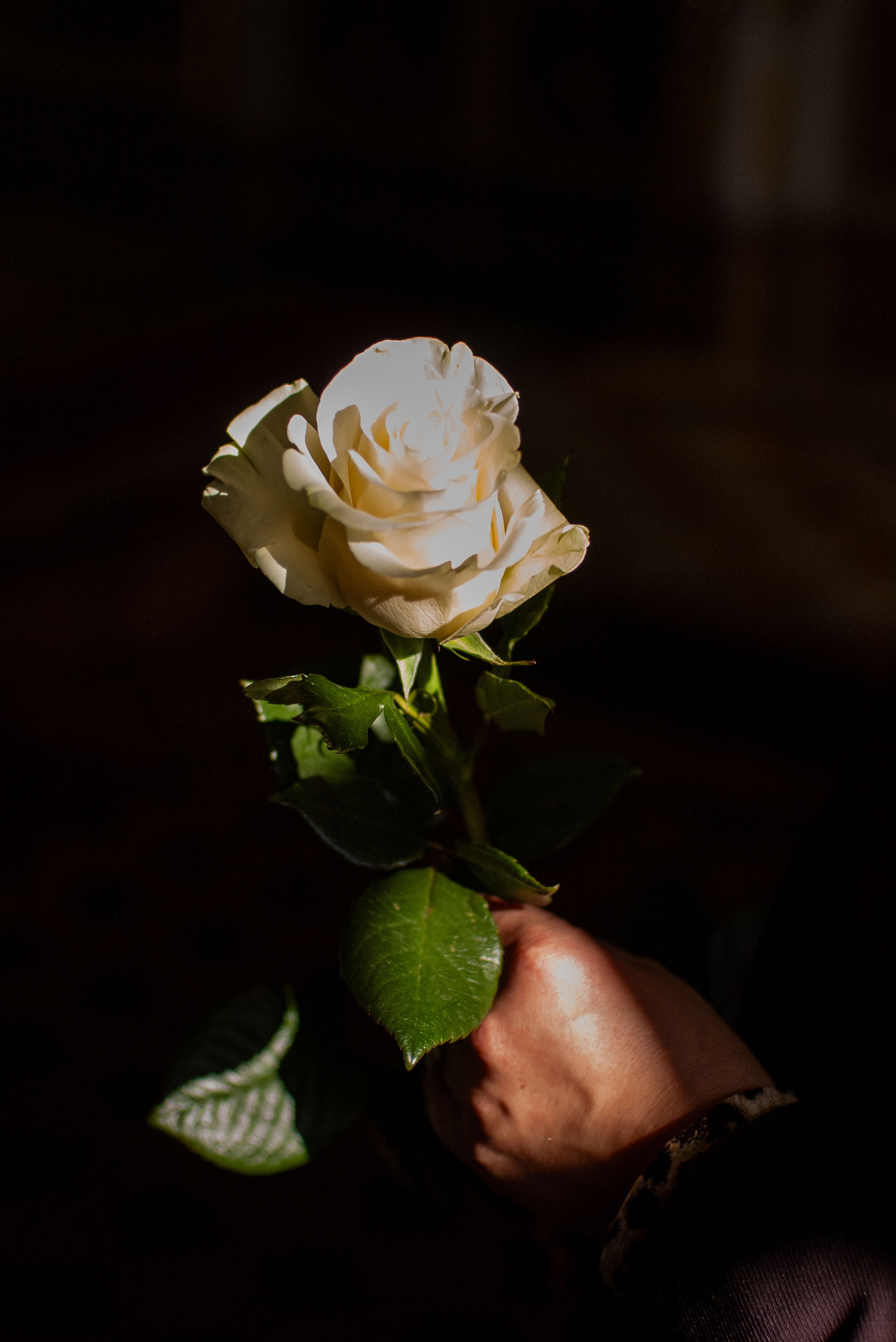 Престольный праздник в Крестовоздвиженском храме с. Марчуги 255 лет. Семейный фотограф в г. Воскресенск Наталия Молева