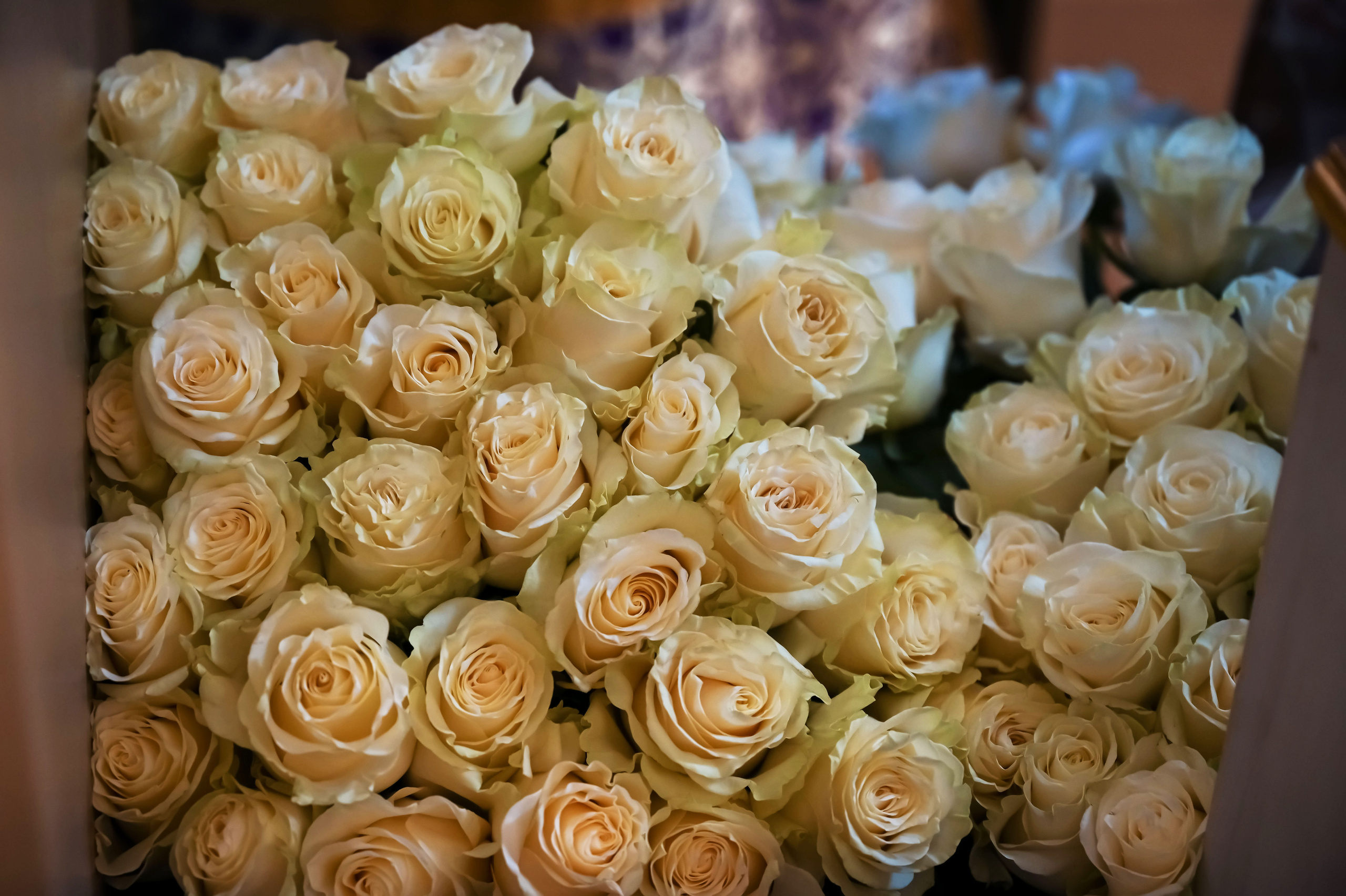 Престольный праздник в Крестовоздвиженском храме с. Марчуги 255 лет. Семейный фотограф в г. Воскресенск Наталия Молева