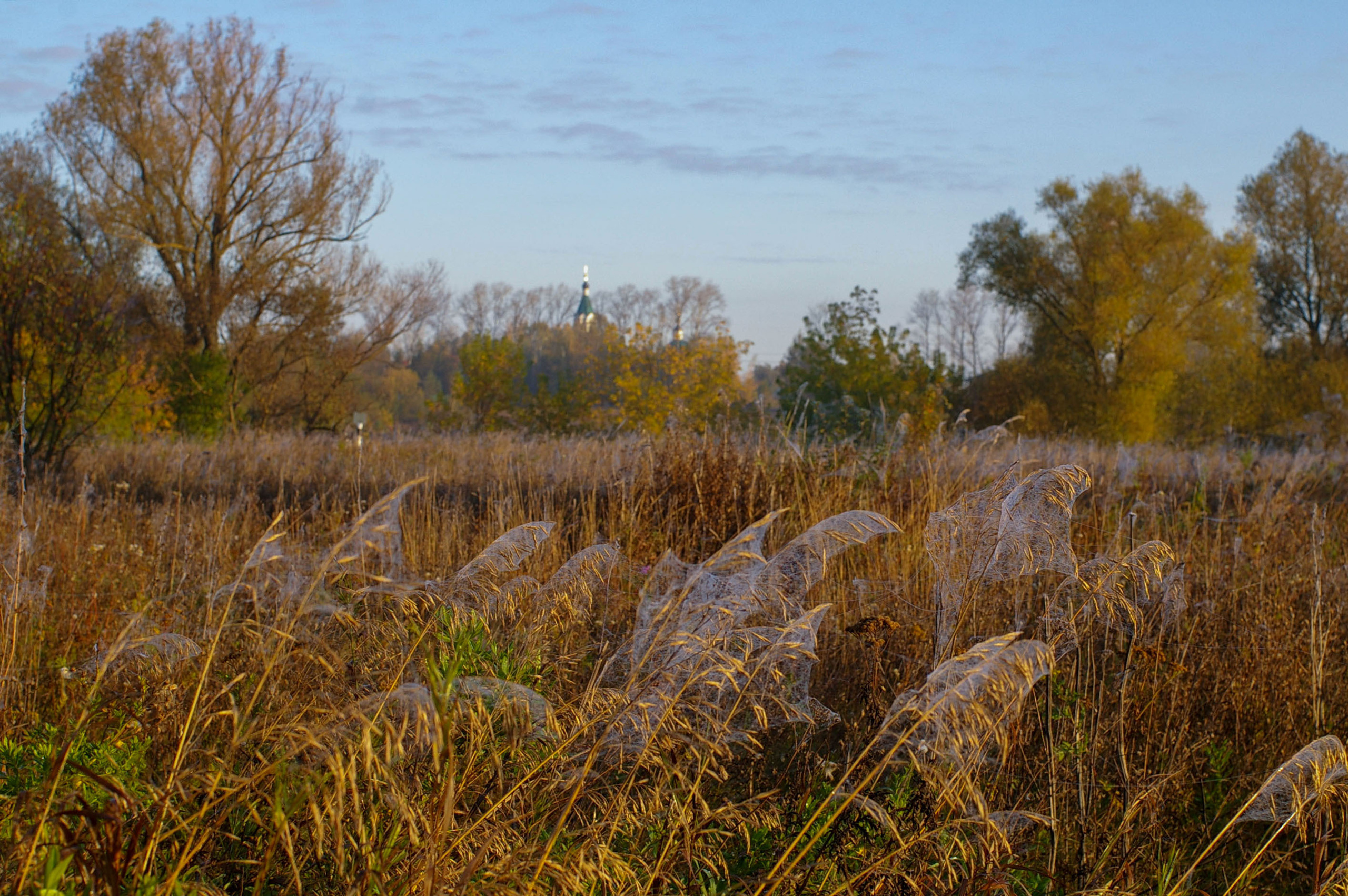 Престольный праздник в Крестовоздвиженском храме с. Марчуги 255 лет. Семейный фотограф в г. Воскресенск Наталия Молева