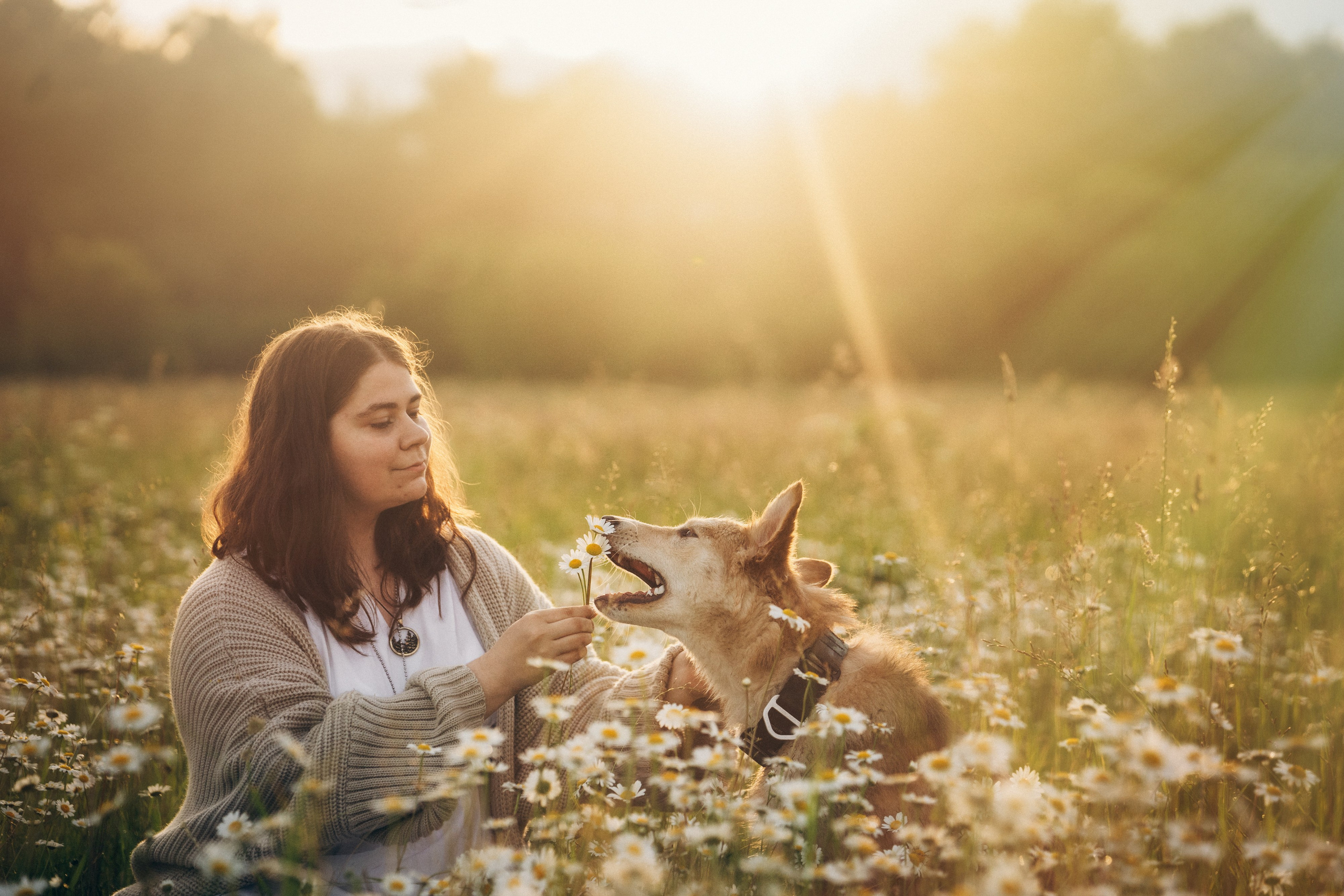 Соня и Кора. Фотограф анималист в Москве и Санкт-Петербурге Свиридова Анна
