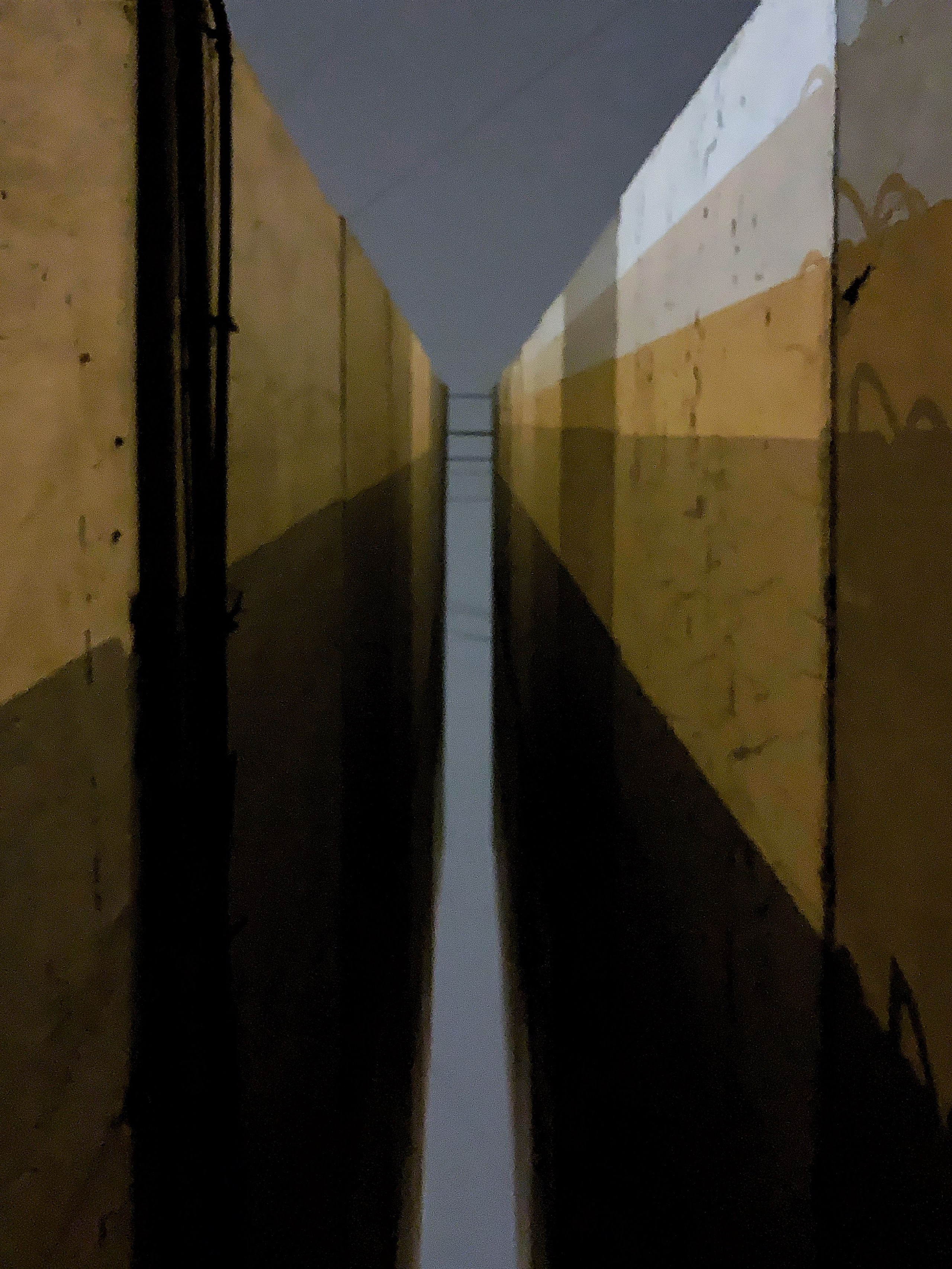 2020. Тащилин Сергей. Фотографии. Жизнь. Хобби