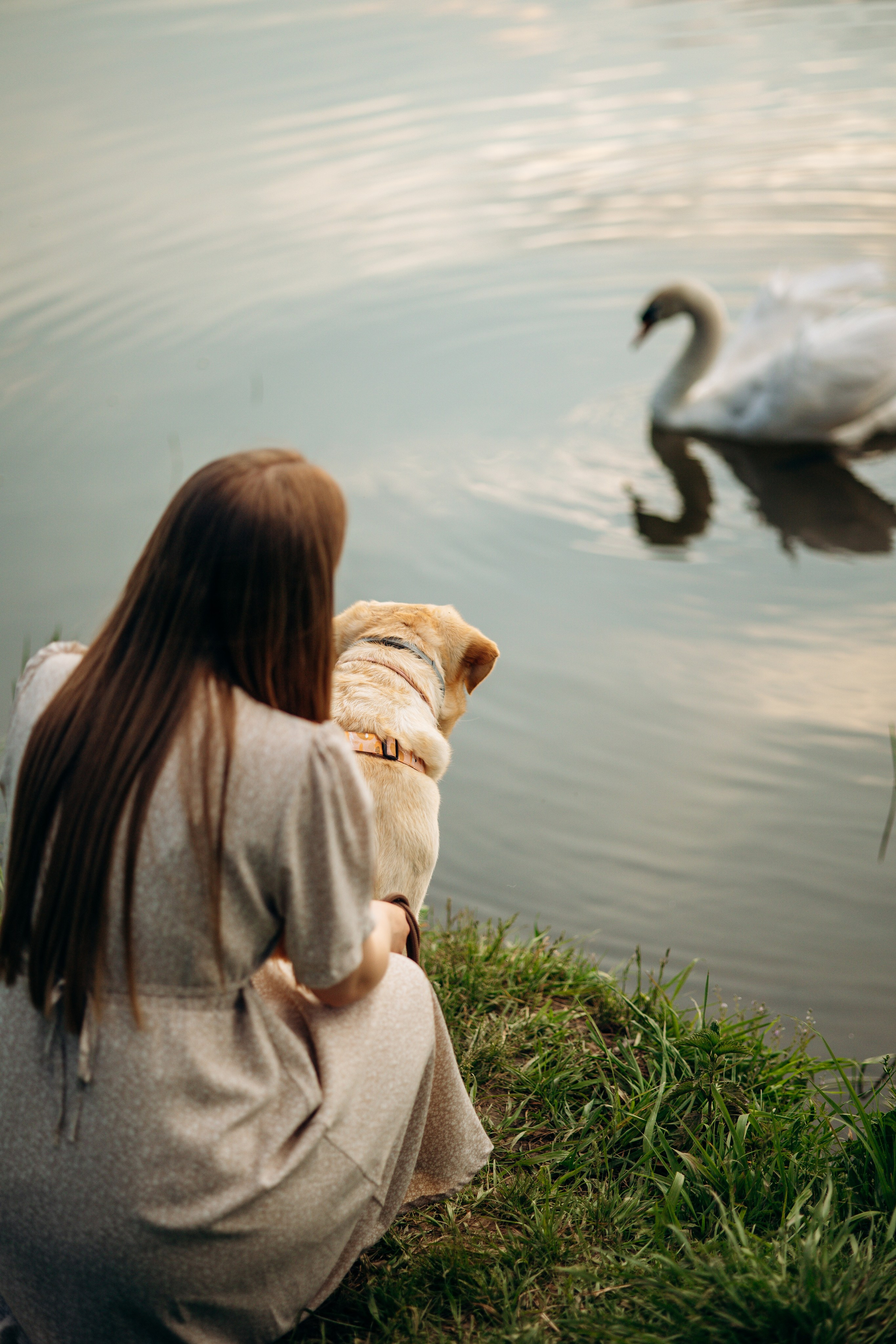 Шани и ее семья. Фотограф — Анималист | Санкт-Петербург