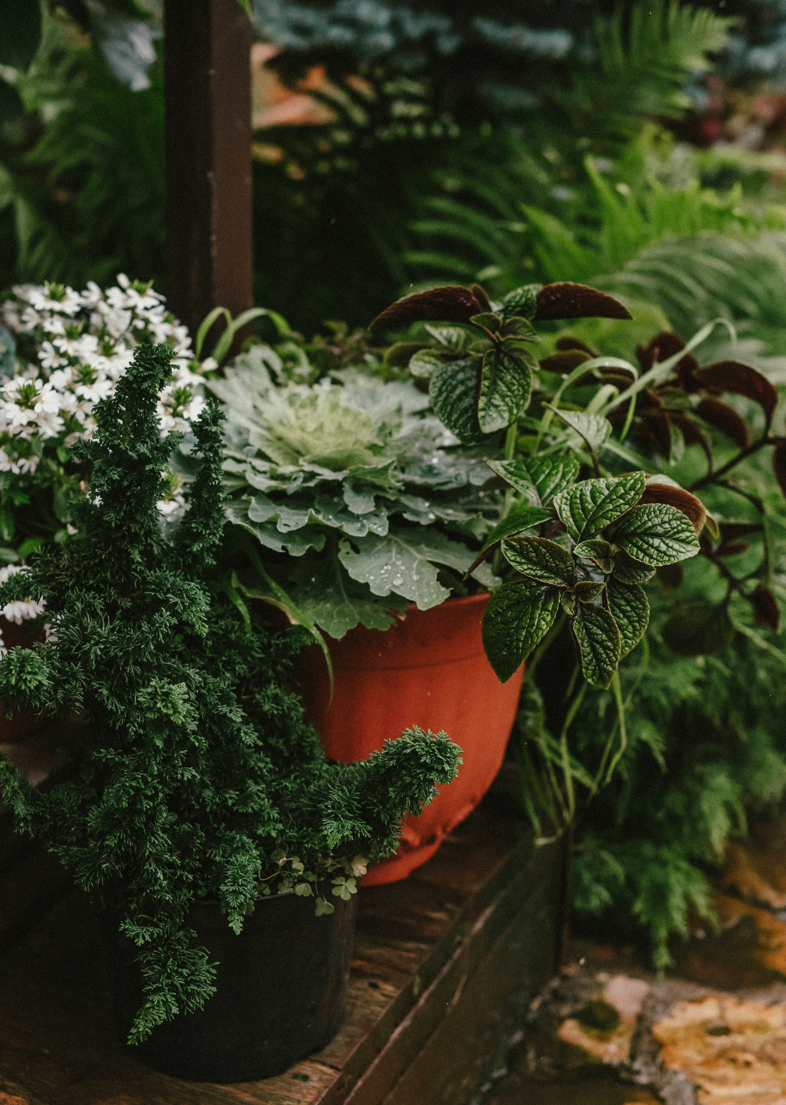 Лесное царство Оксаны. Свадебный и семейный фотограф в Новосибирске, Санкт-Петербурге, Москве