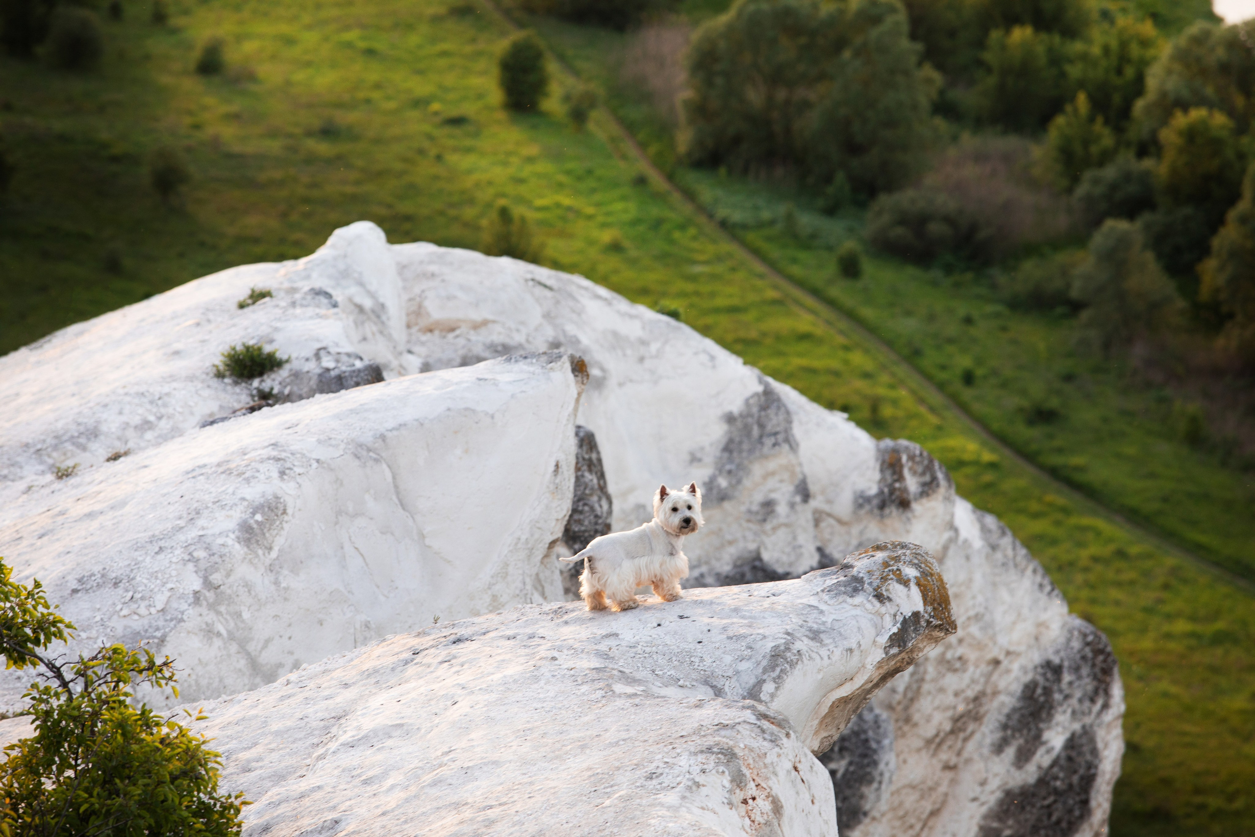 Сторожевое. Свадебный фотограф в Воронеже Александр Пенкин