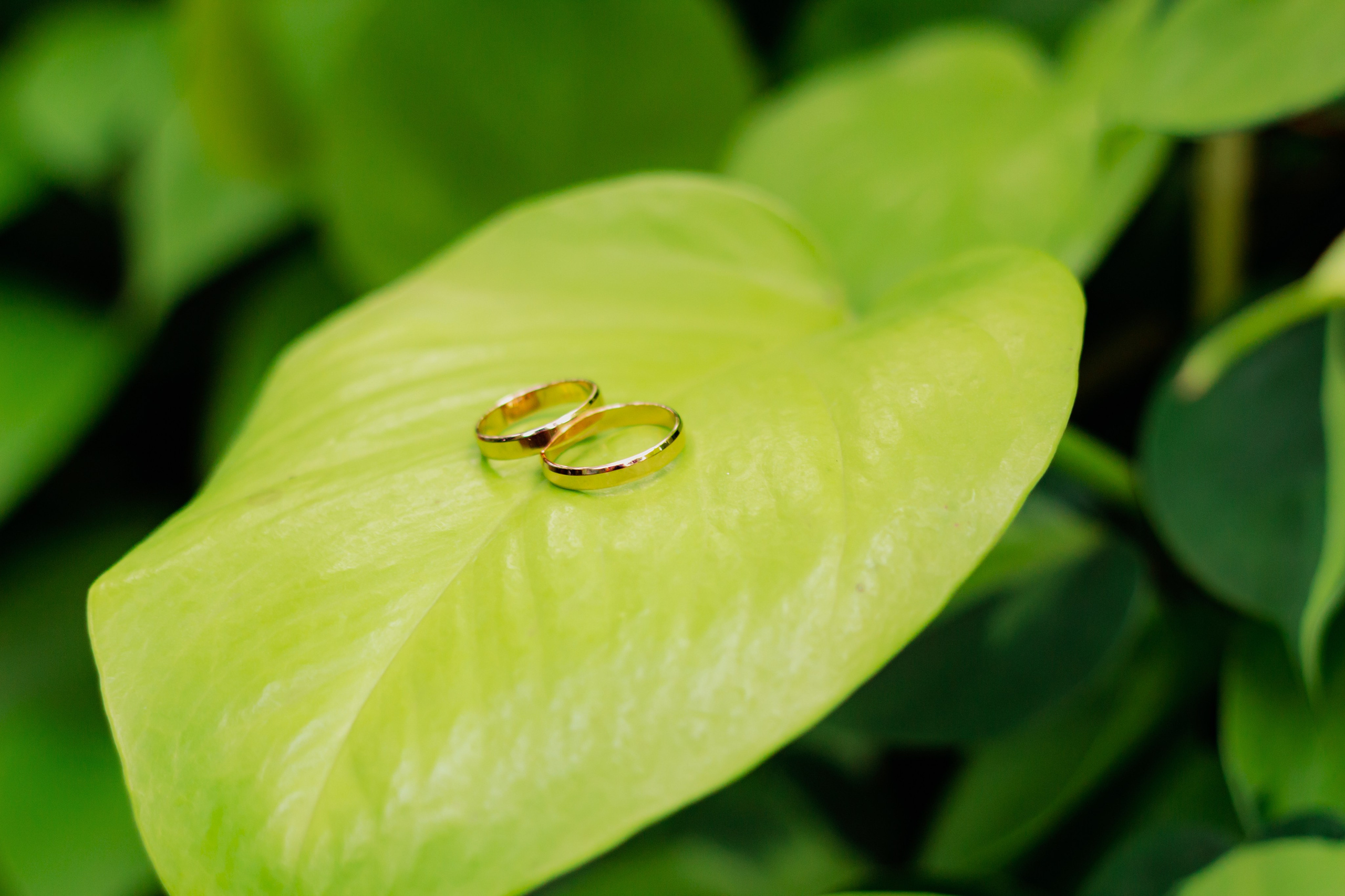 Максим и Александра. Свадебная фотосессия. Фотограф в Екатеринбурге Пойгина Елена