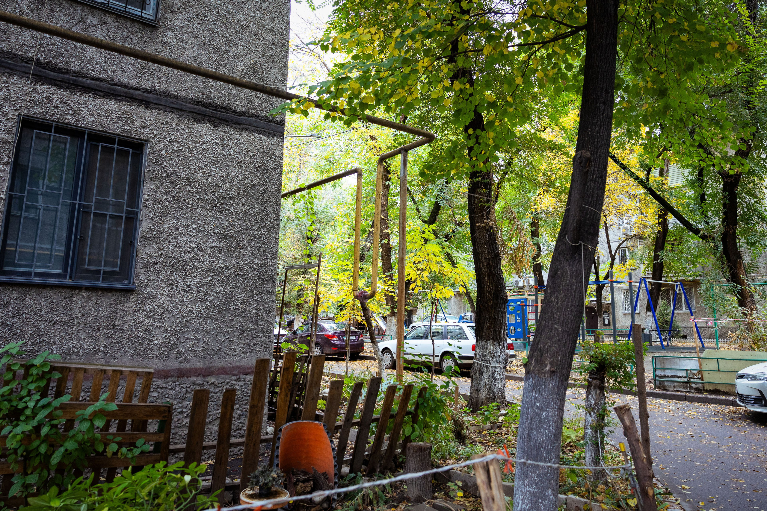 Казахстан (осень 2024). Фотограф Виноградов Константин