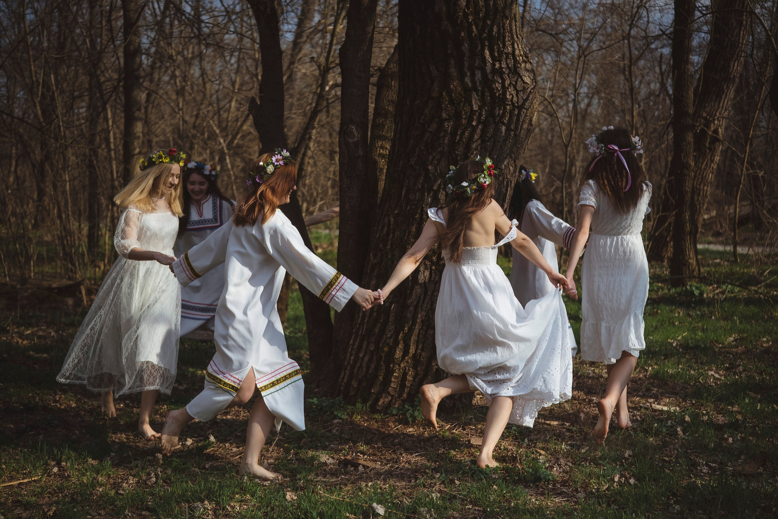 Зеленый остров. Главная