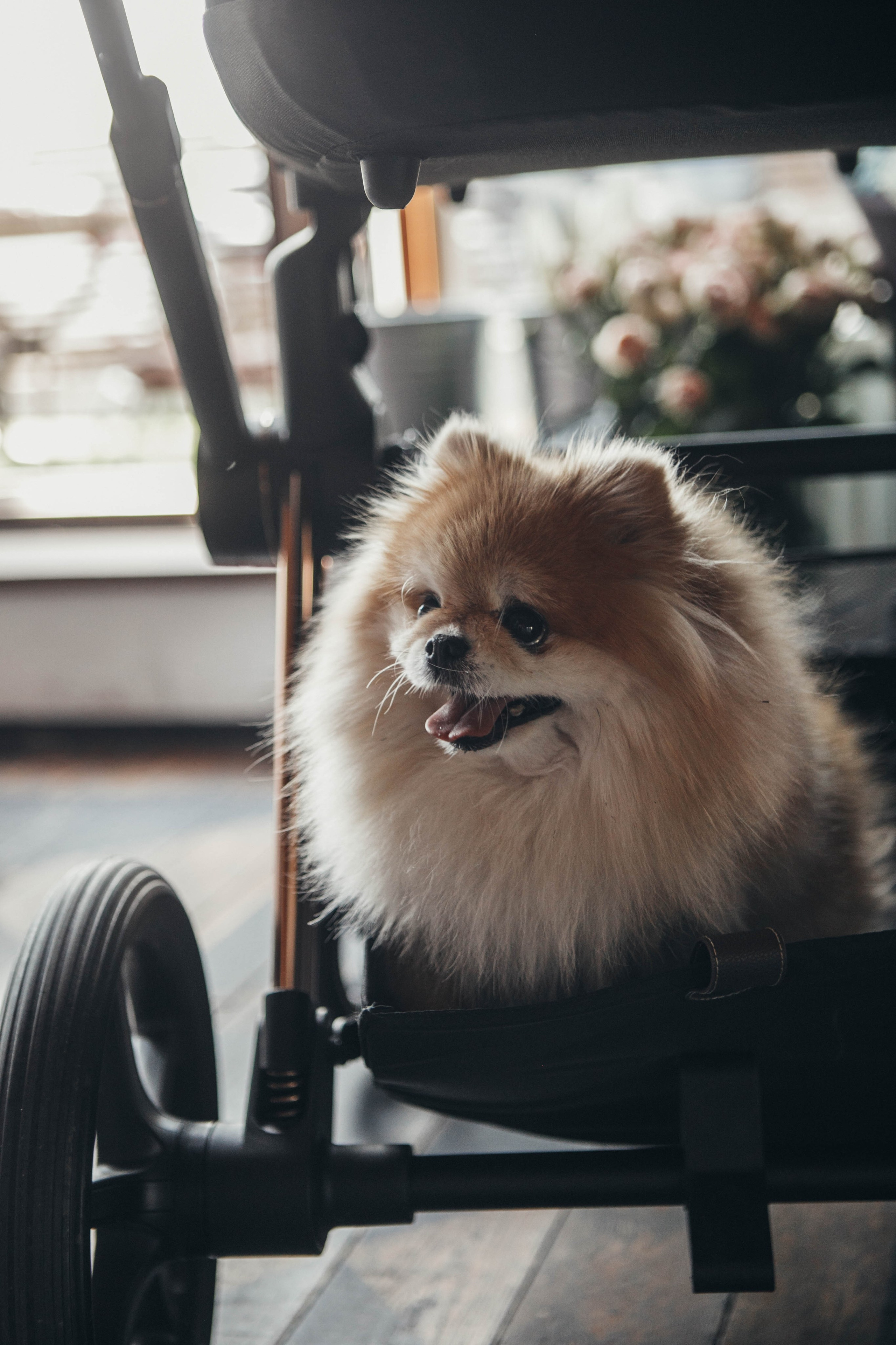 Детский день рождения в Подмосковье. Фотограф Лебедева Наталья