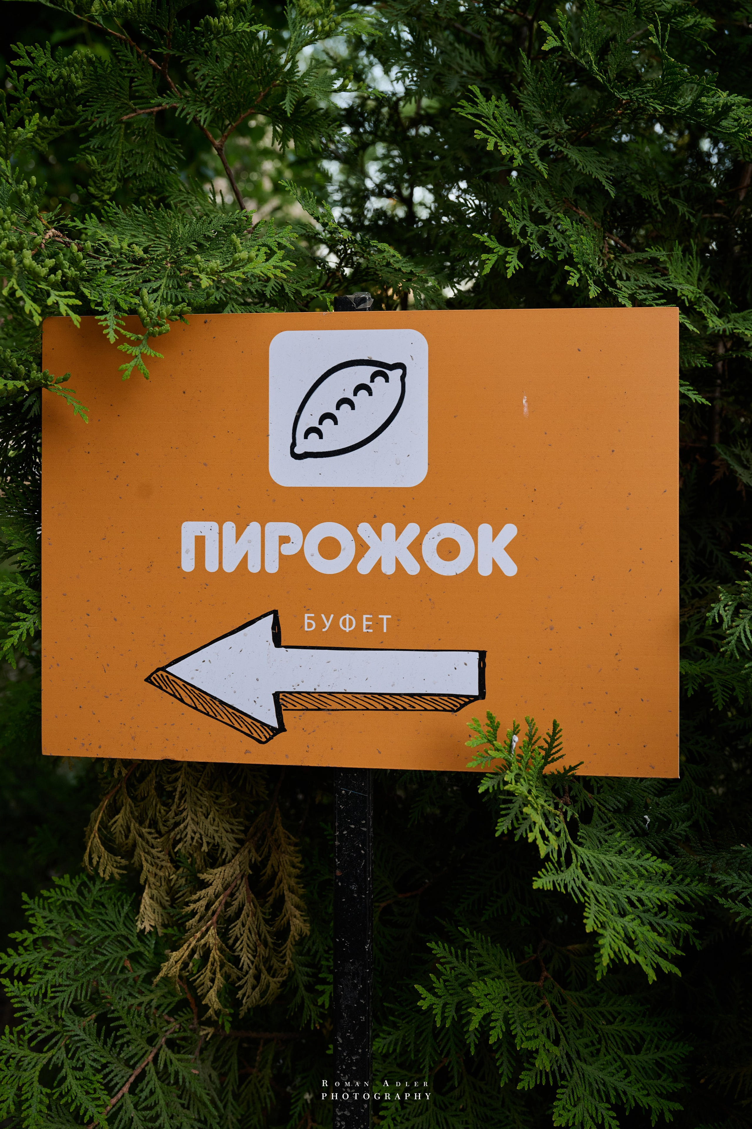 Воронеж. Май 2025. Фотограф Роман Адлер