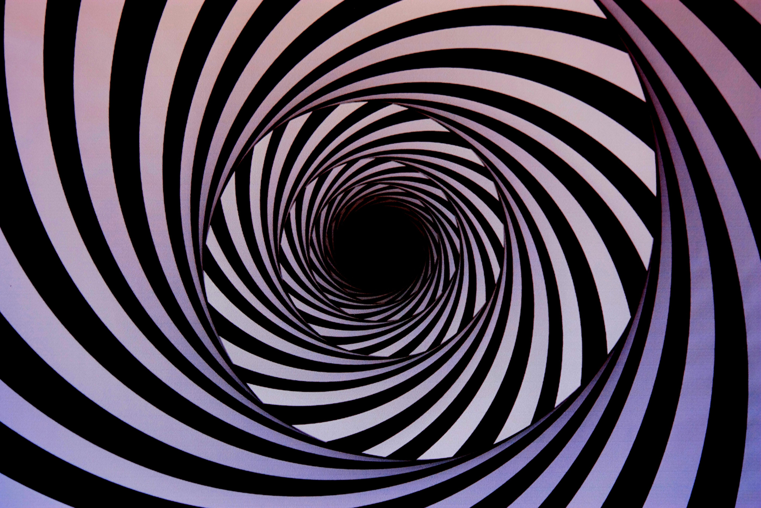 Первые кадры. Сочи — парк. Фотограф Роман Адлер