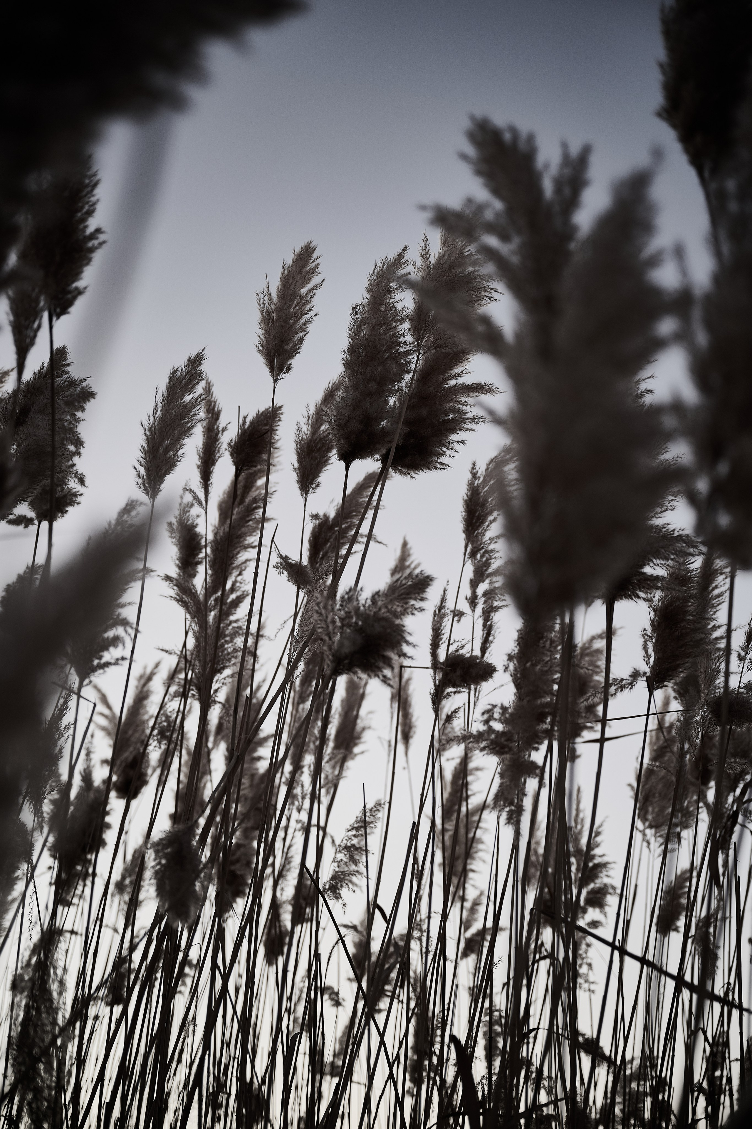 Дороги Территорий. Фотограф Роман Адлер