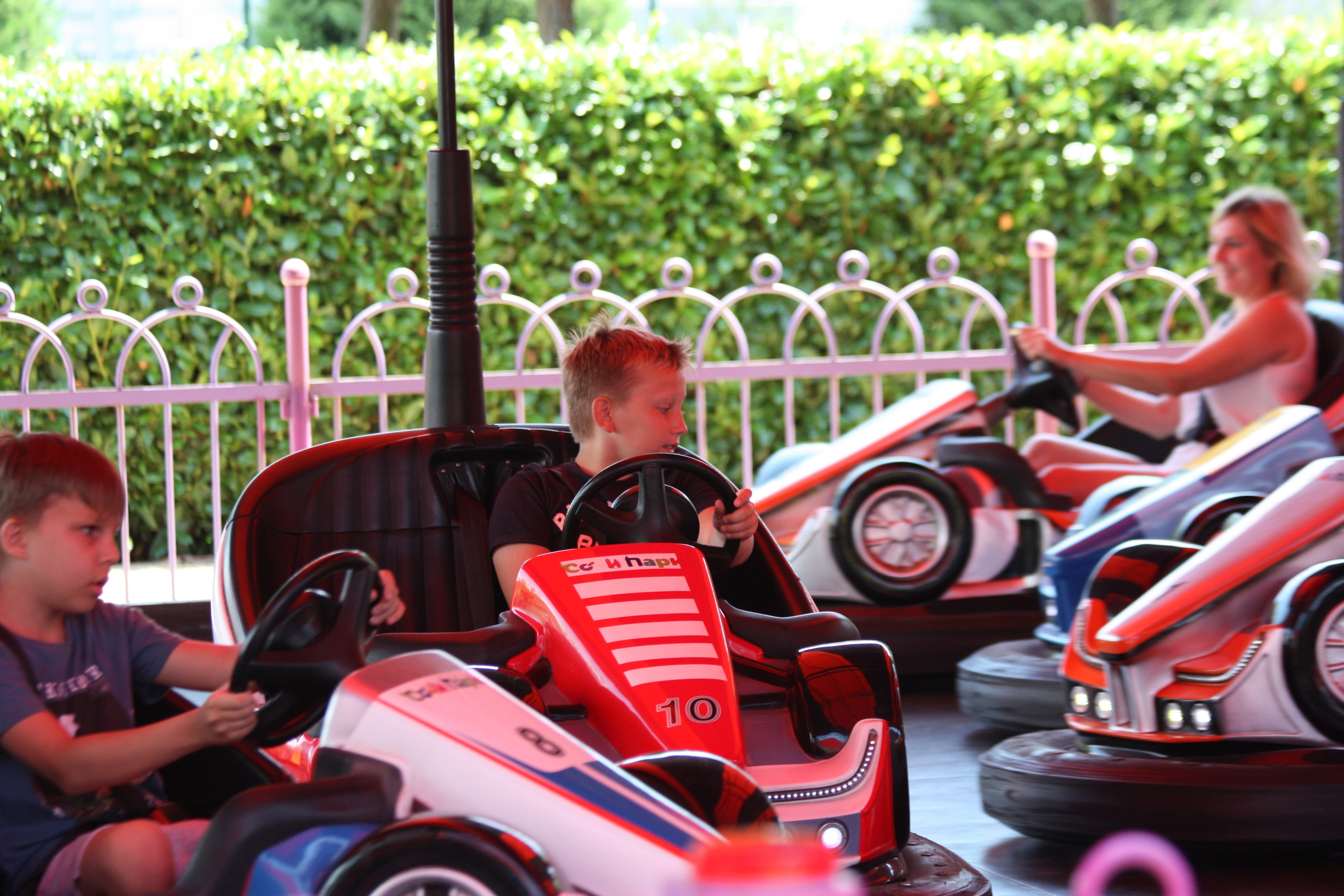 Первые кадры. Сочи — парк. Фотограф Роман Адлер