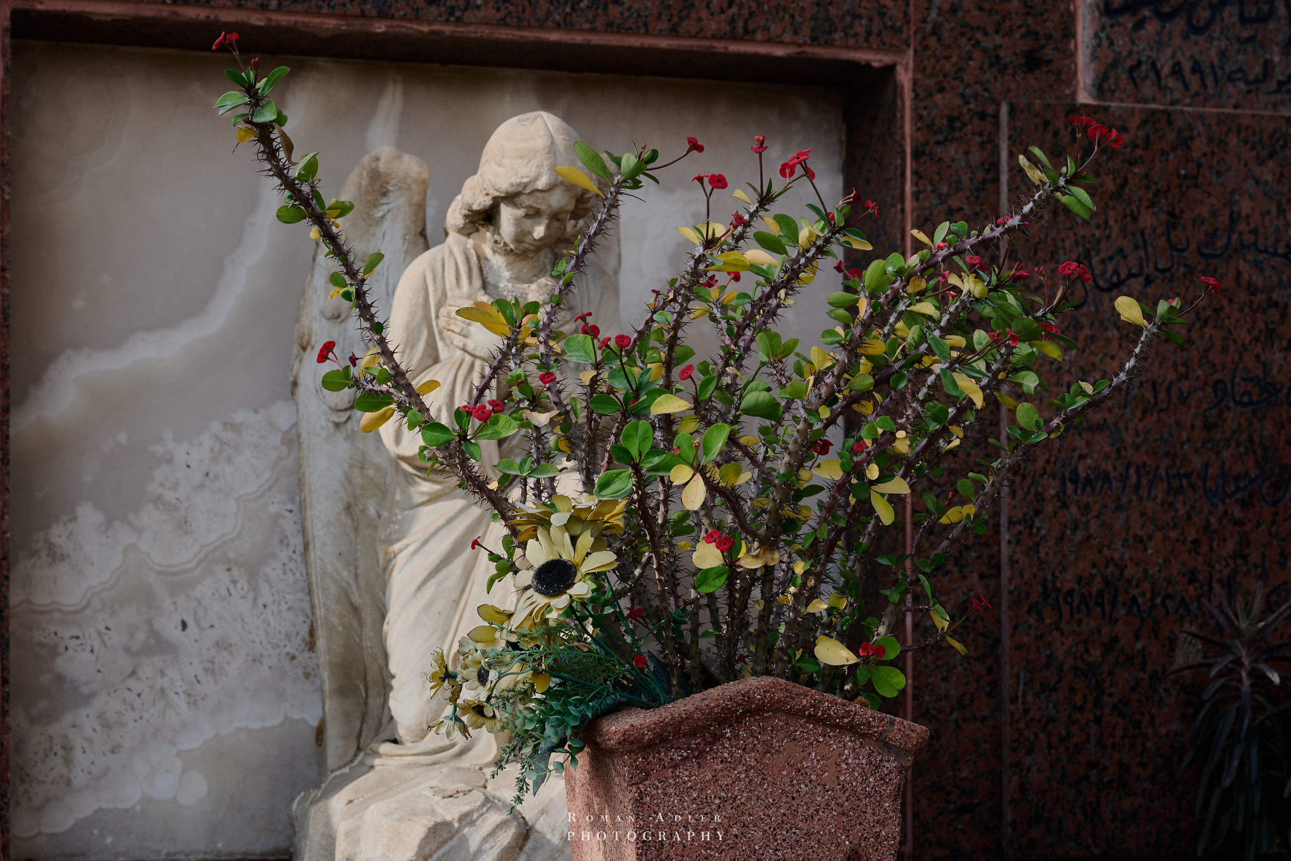 Каир. Февраль 2025. Фотограф Роман Адлер