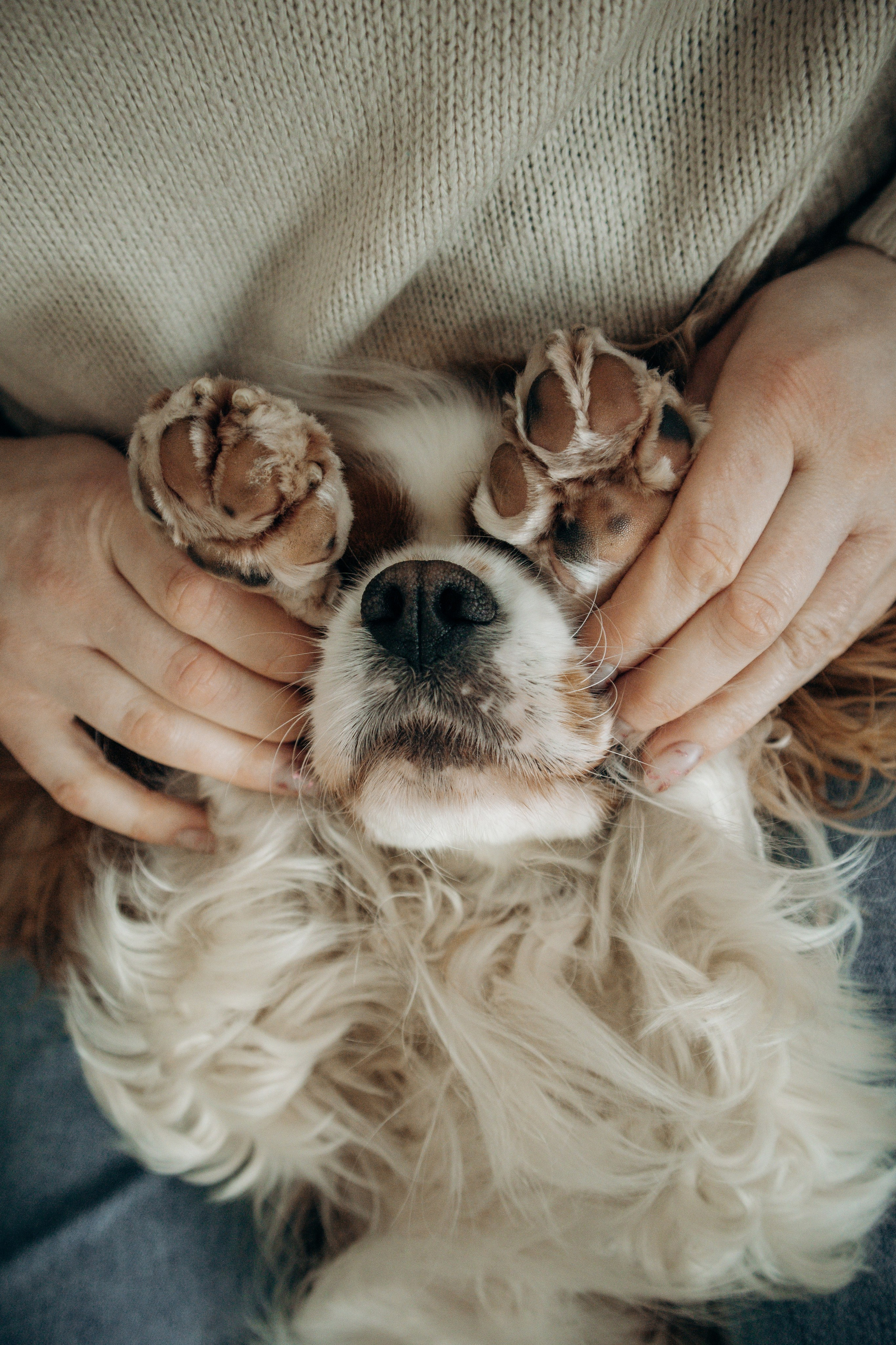 Надя и Лали. Фотограф-анималист в Санкт-Петербурге