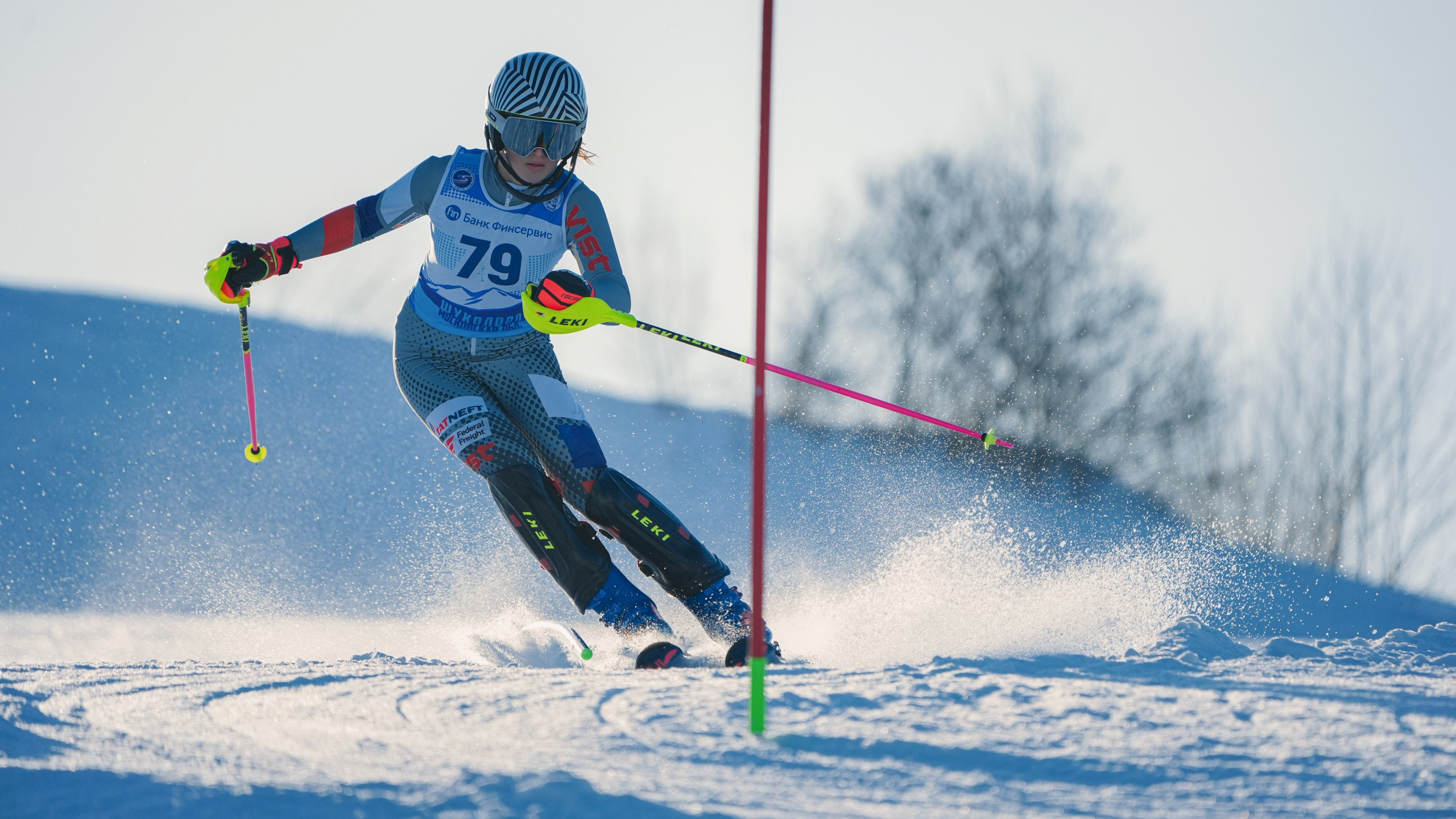 SL (Slalom) - Слалом. Соревнования по горнолыжному спорту. Московская область, Шуколово