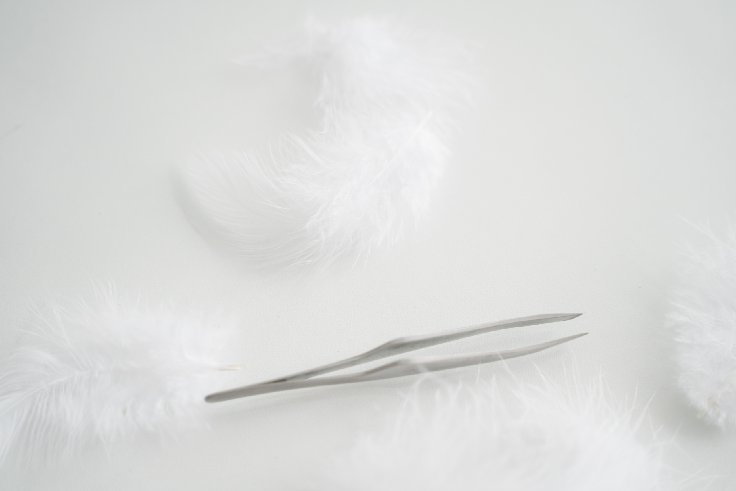 Светлана. Бровист. Семейный и бренд фотограф