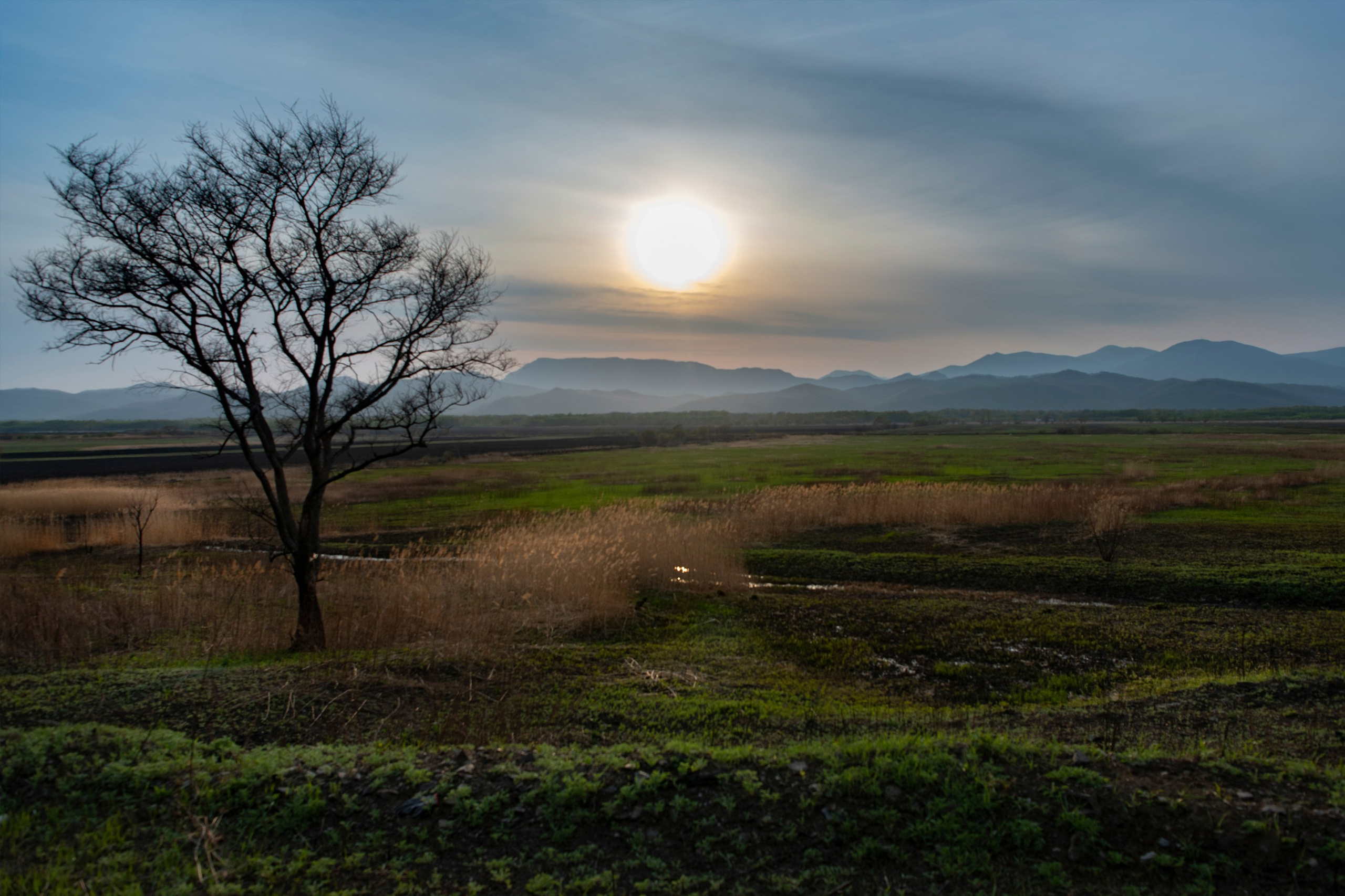 Природа Хабаровского края. Команда фотографов Кристины Ивановой