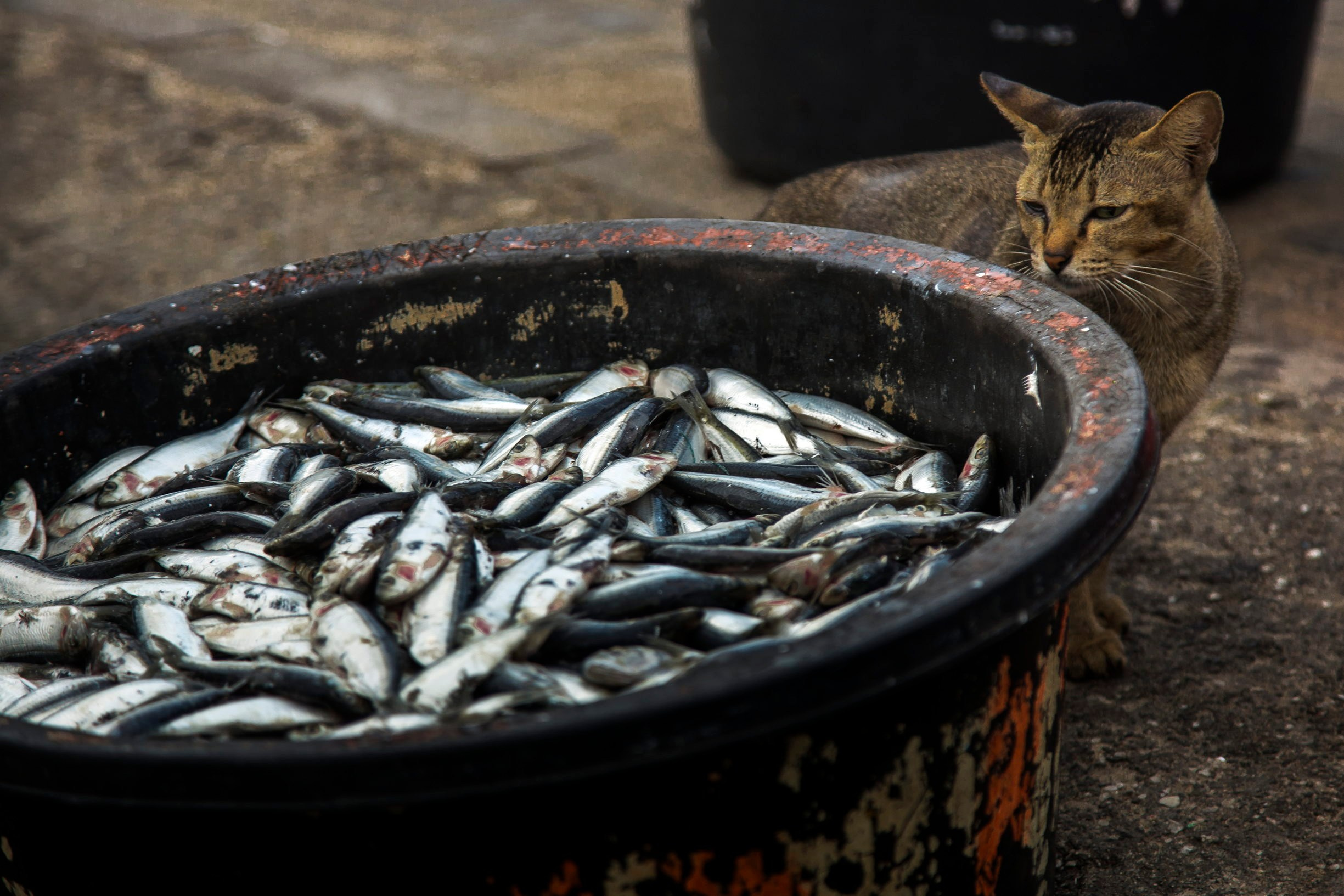 Путешествия. Фотограф в Самаре Максим Калинин