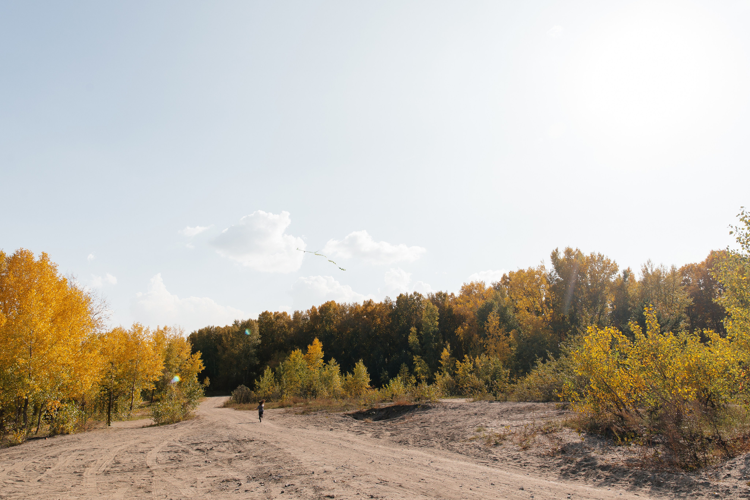 Выманивает из квартир природа нас на выходные. Осенний лес — особый мир. Ведут тропинки потайные…. Душевный фотограф Ваших самых ярких событий Марина Погребняк