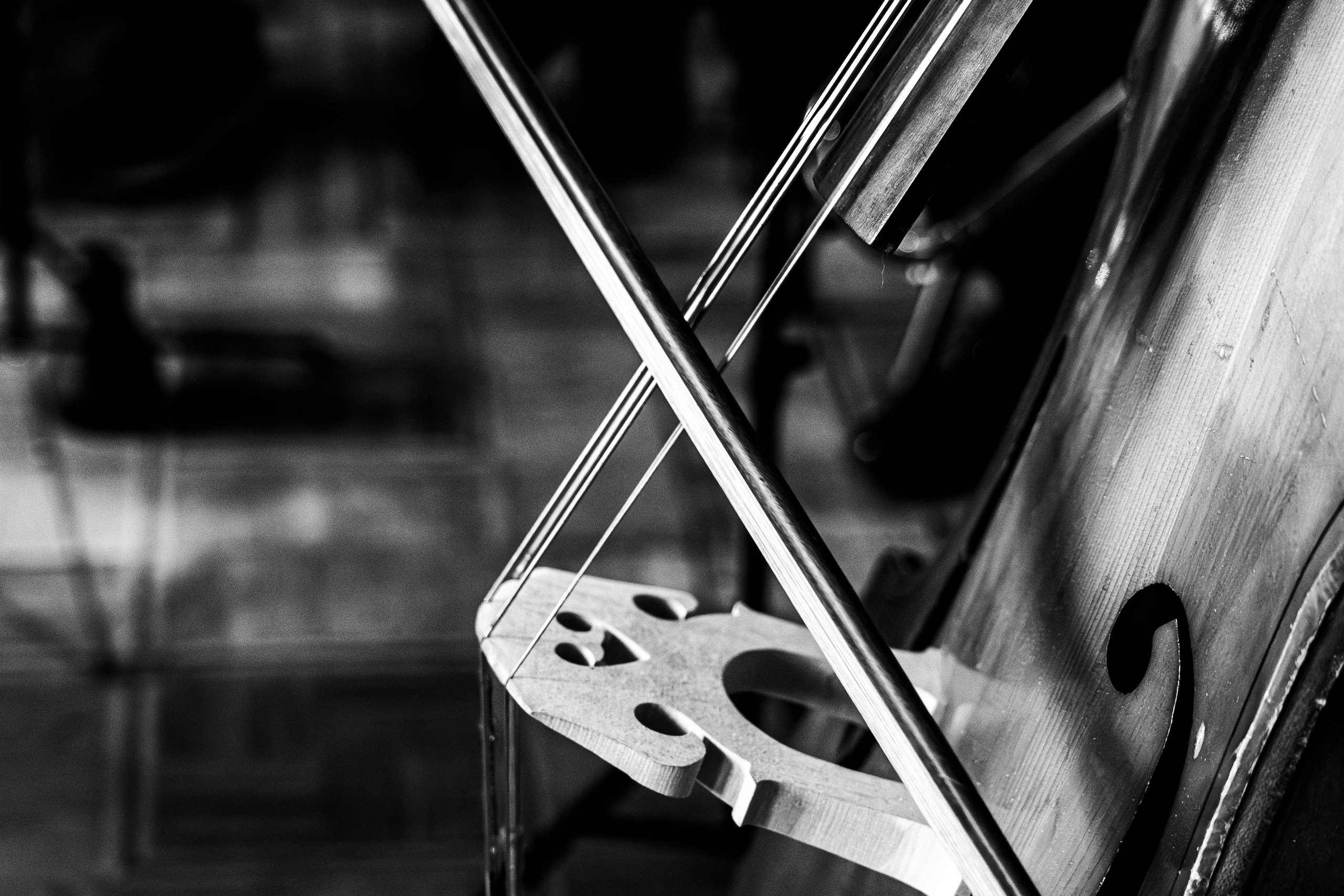 Horosapiens Choir. Легкая фотография