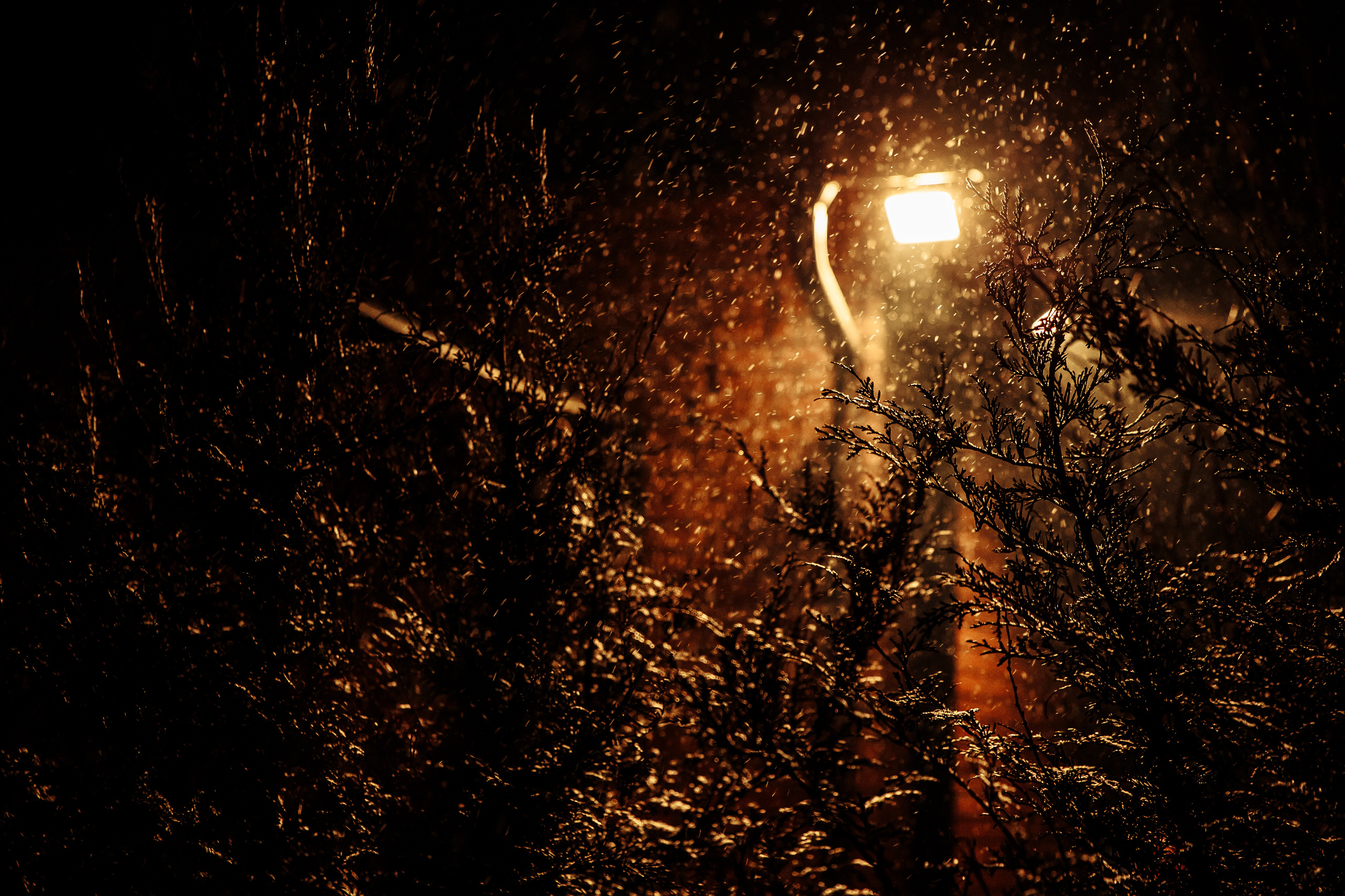 Ольга и Алексей. Свадебный фотограф Юлия Шторм