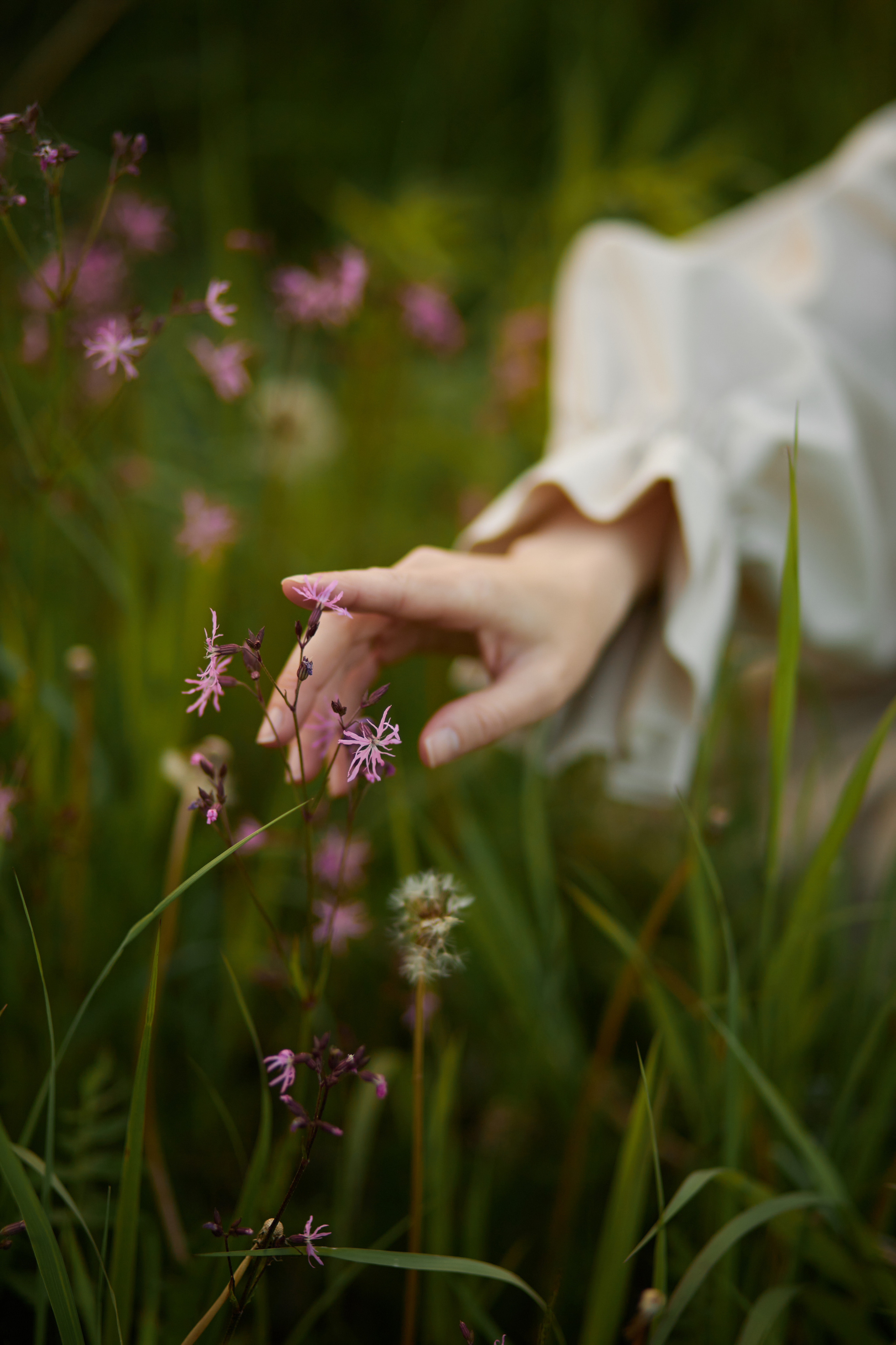 Katya. Елена Бордо | Фотограф Москва