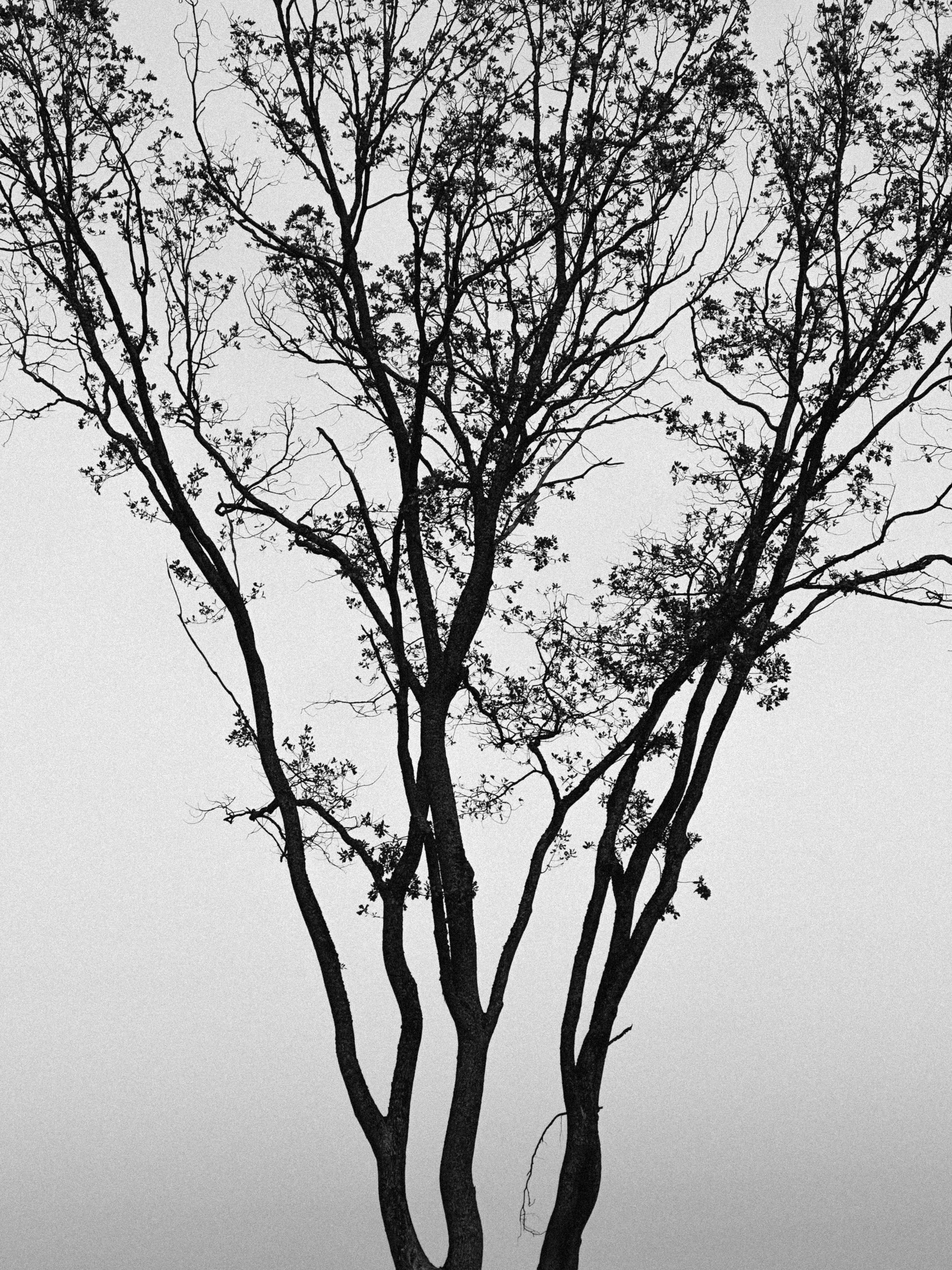 Рефлексия. Портретный фотограф