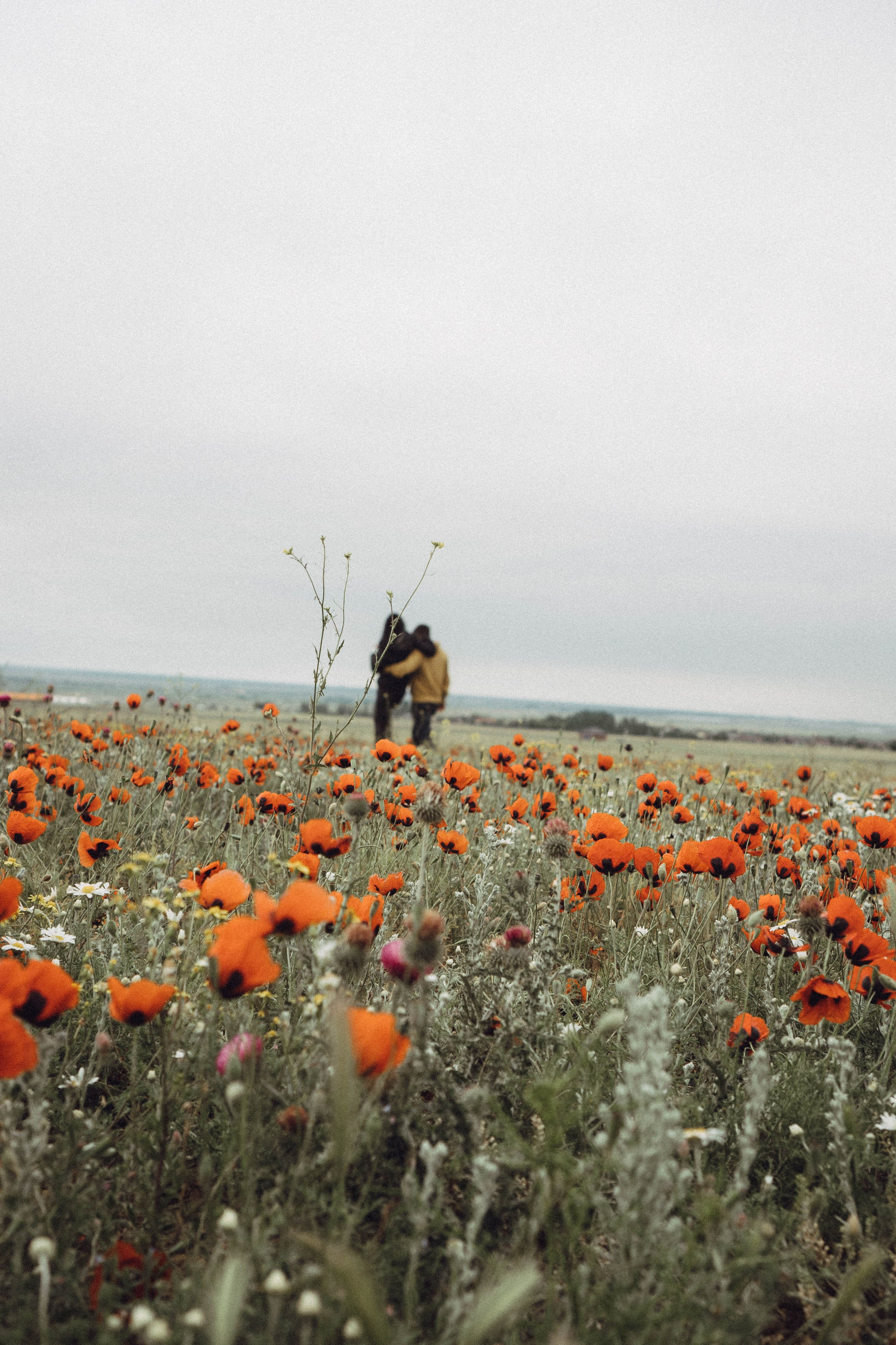 Любовь в маковом поле. Профессиональный фотограф, Санкт-Петербург — Виктория Богомолова